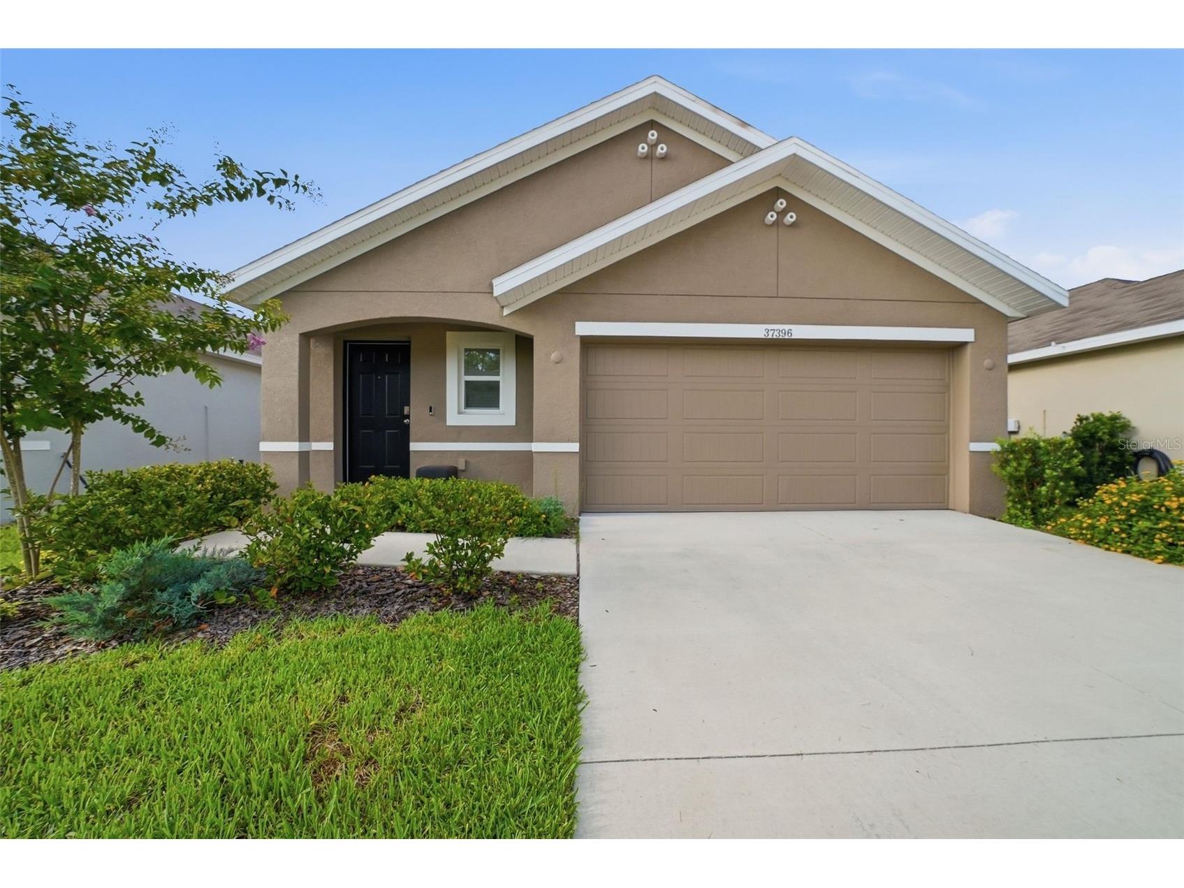 37396 Sharks Eye Lane Zephyrhills FL 33541 TB8531724 image2