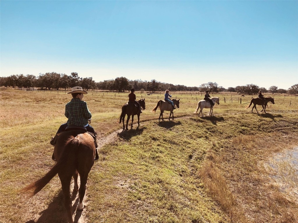 374 Bear Trail River Ranch FL 33867 TB8395983 image14