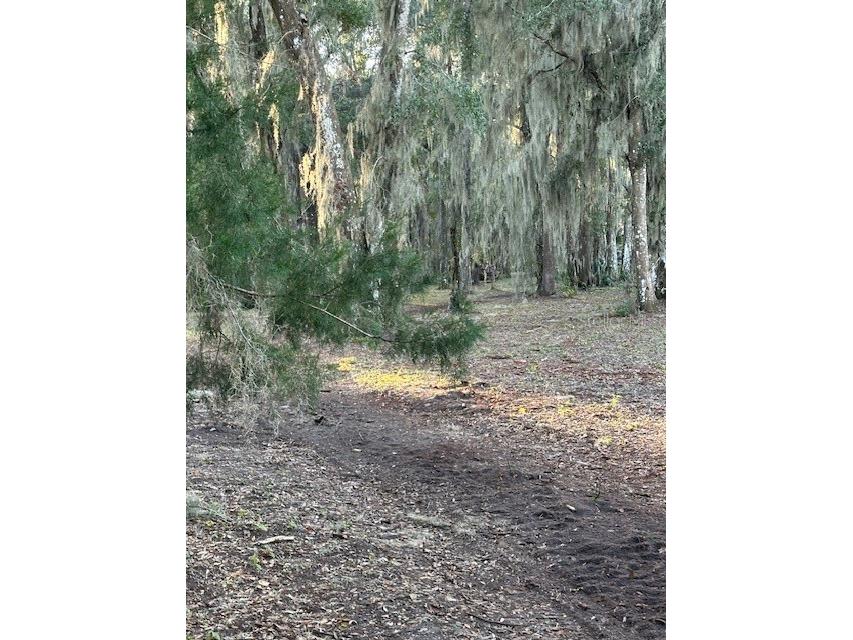 374 Sisco Road Pomona Park FL 32181 FC314749 image16