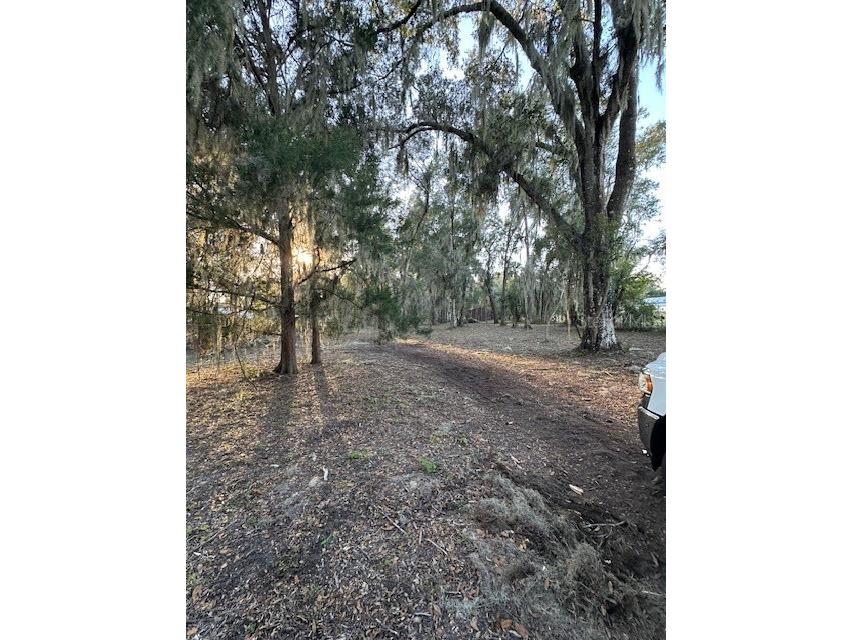 374 Sisco Road Pomona Park FL 32181 FC314749 image18