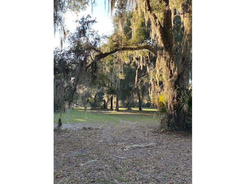 374 Sisco Road Pomona Park FL 32181 FC316982 image11