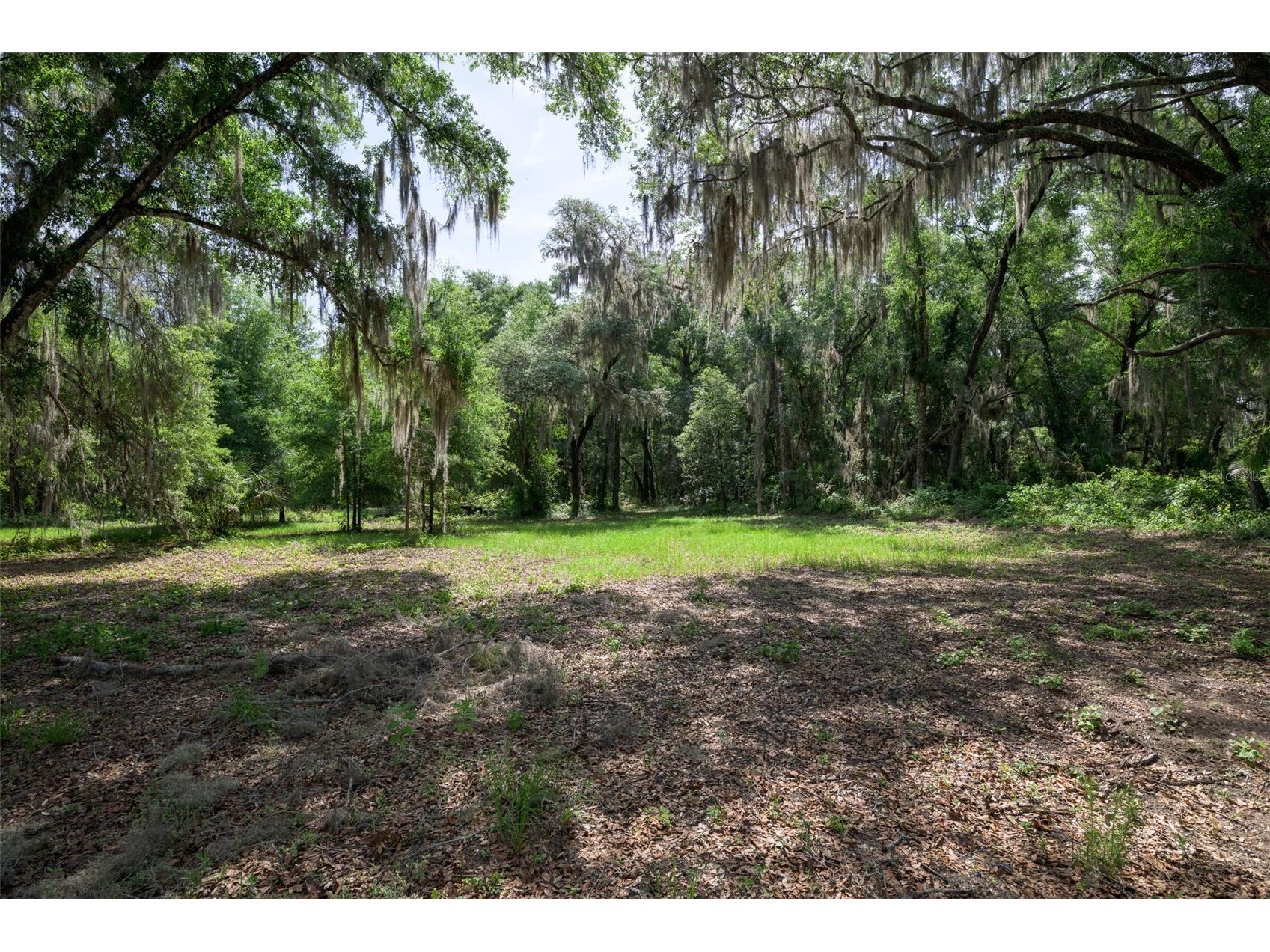 374 Sisco Road Pomona Park FL 32181 FC318507 image23