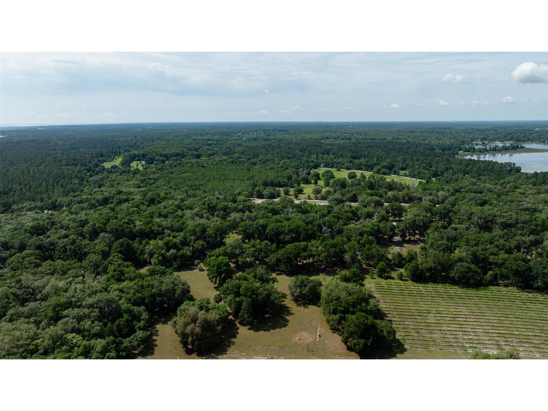 374 Sisco Road Pomona Park FL 32181 FC318507 image31
