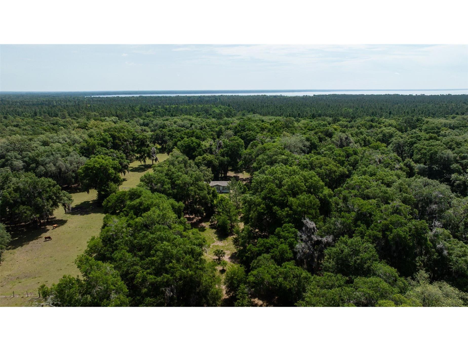 374 Sisco Road Pomona Park FL 32181 FC318507 image36
