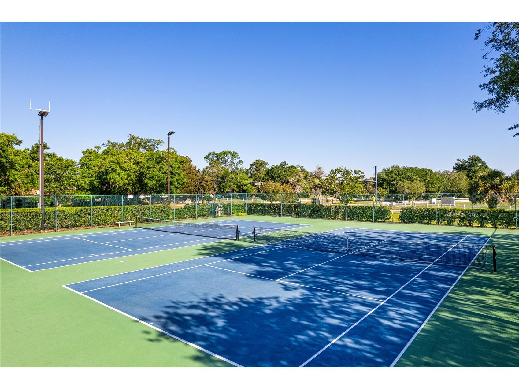 374 Winchester Place Longwood FL 32779 O6419030 image48