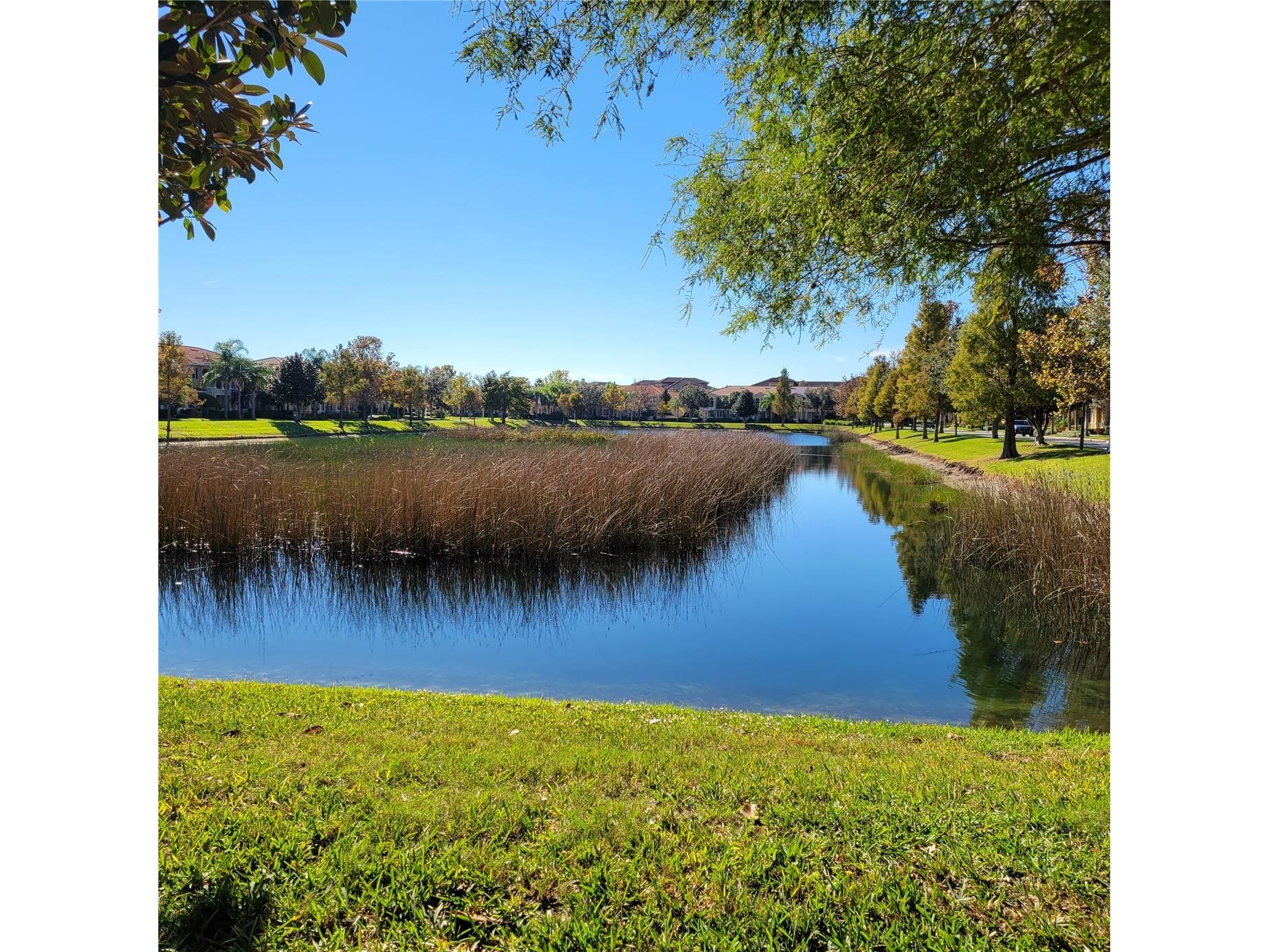 3740 82nd Avenue Circle E #102 Sarasota FL 34243 A4678508 image28