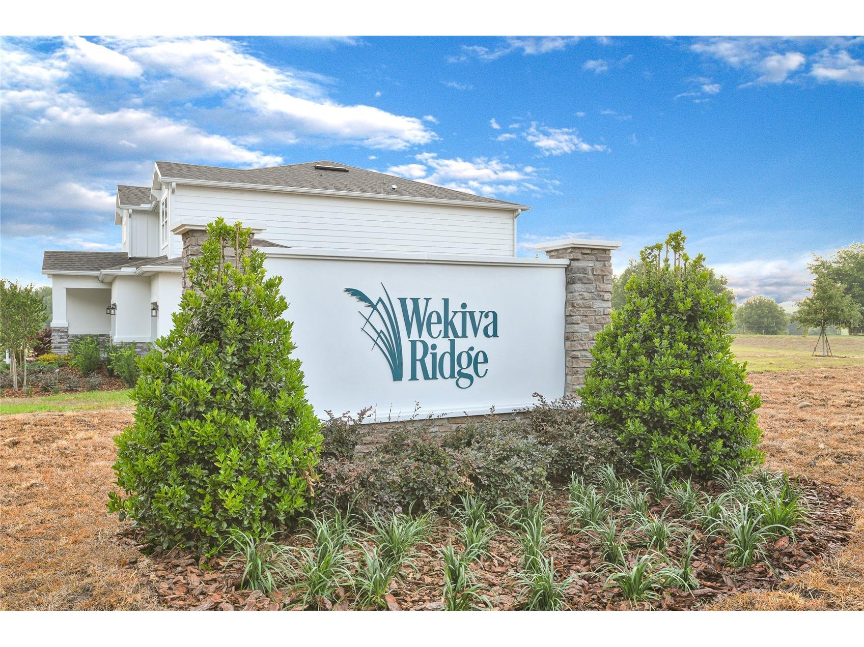 3740 Deer Ridge Drive Mount Dora FL 32757 S5115833 image3