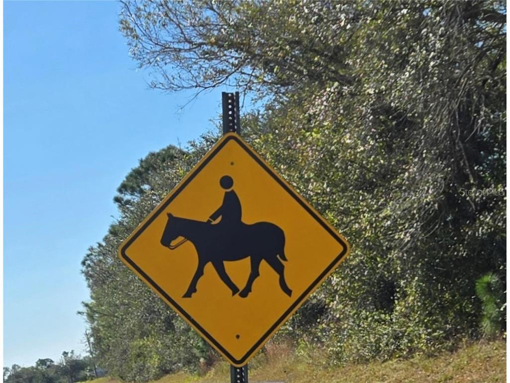 3740 Hidden Valley Circle Punta Gorda FL 33982 N6141433 image48