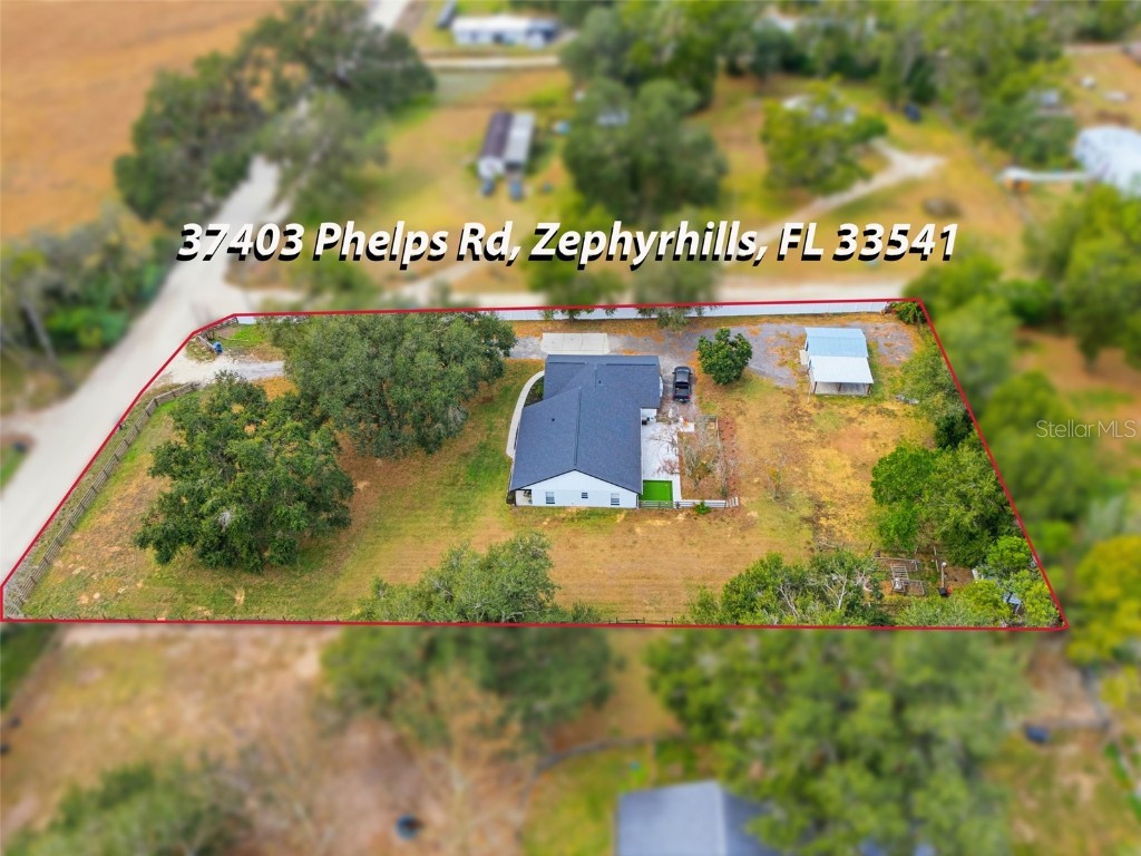 37403 Phelps Road Zephyrhills FL 33541 TB8460618 image36
