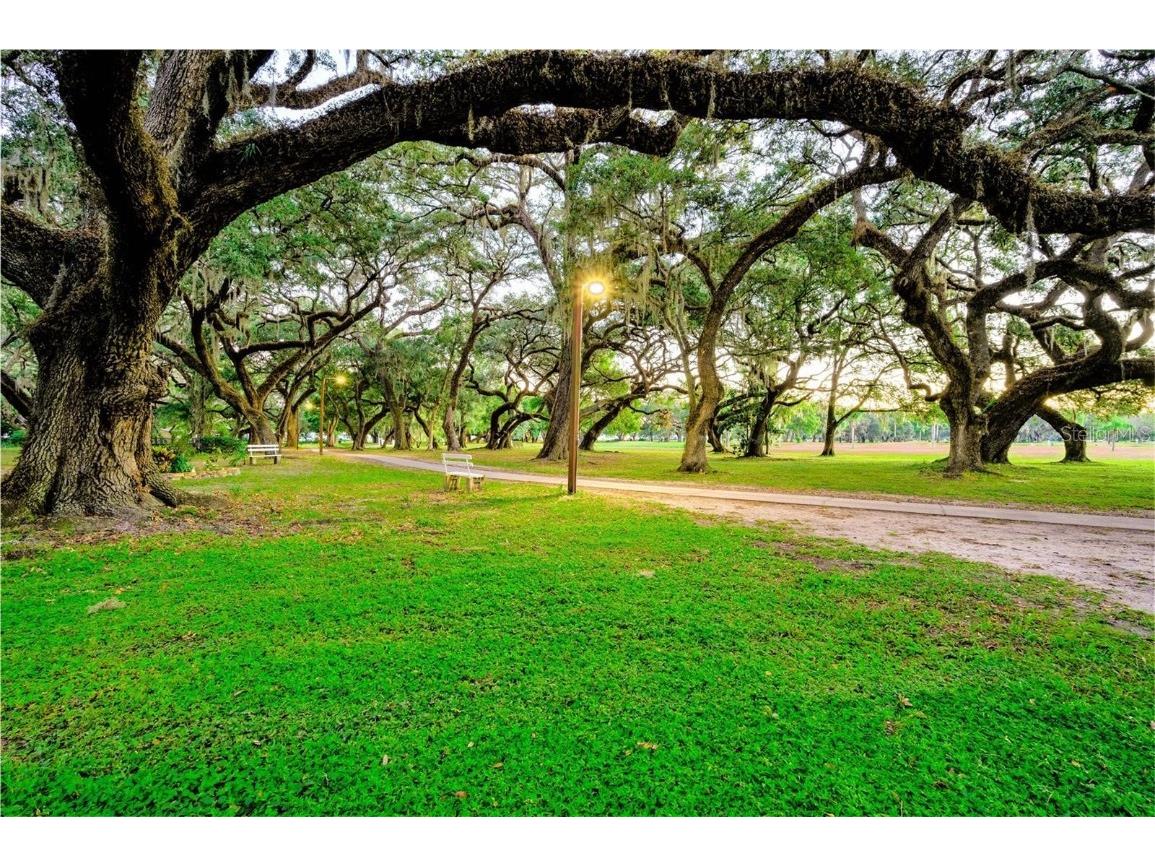 37407 Sandra Avenue Zephyrhills FL 33542 TB8431686 image54