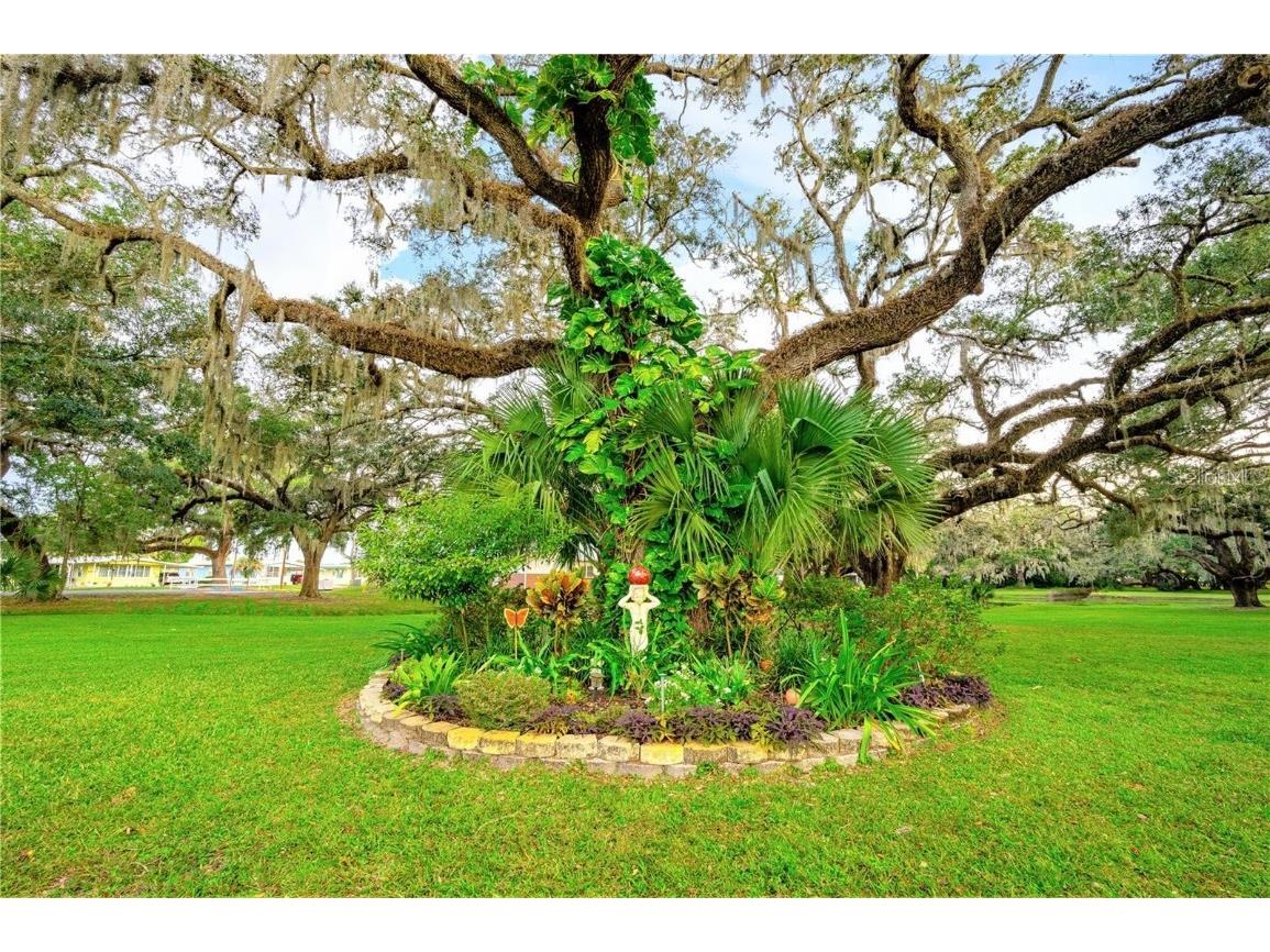 37407 Sandra Avenue Zephyrhills FL 33542 TB8431686 image56