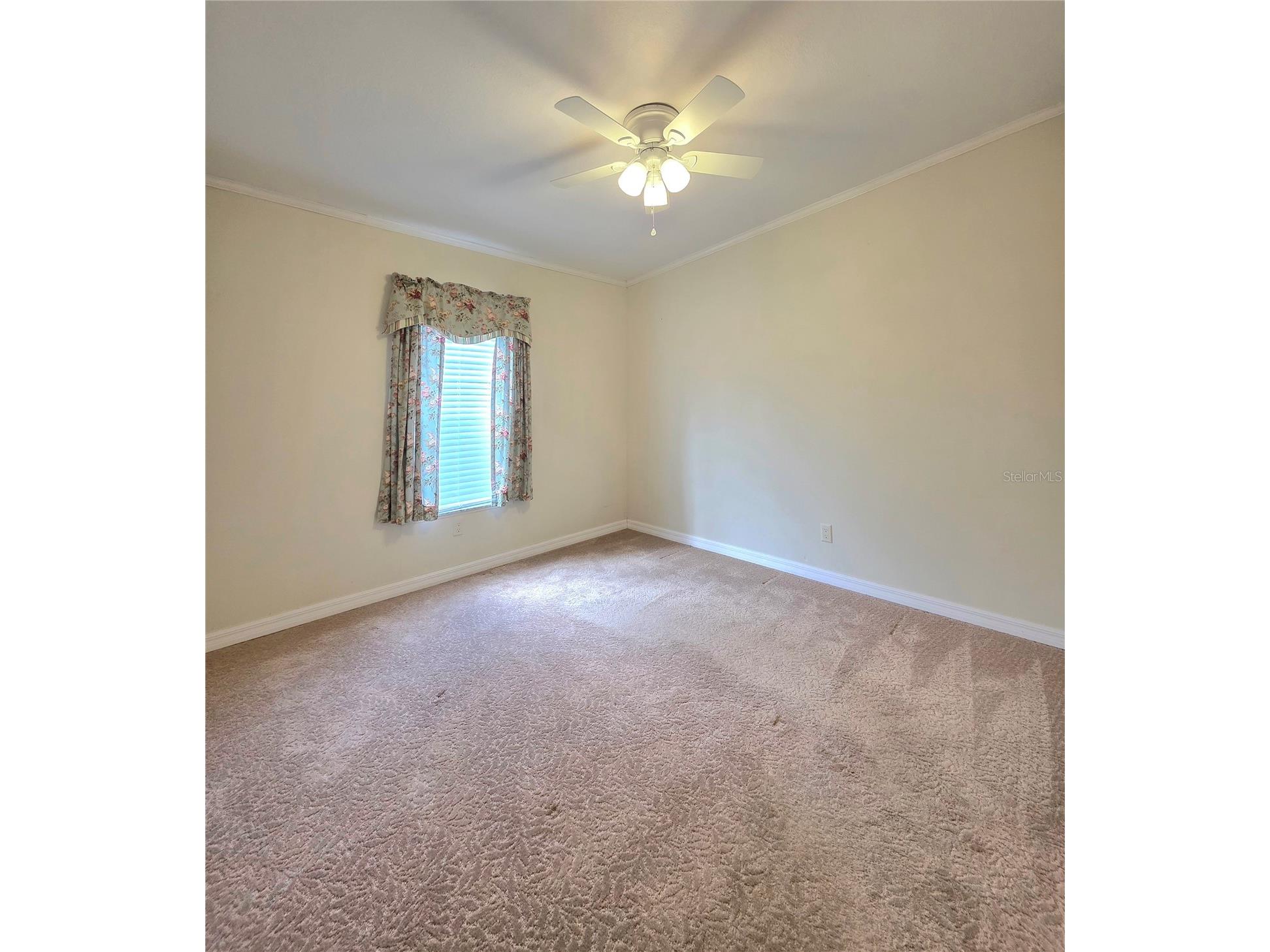 37407 Sandra Avenue Zephyrhills FL 33542 TB8465030 image20