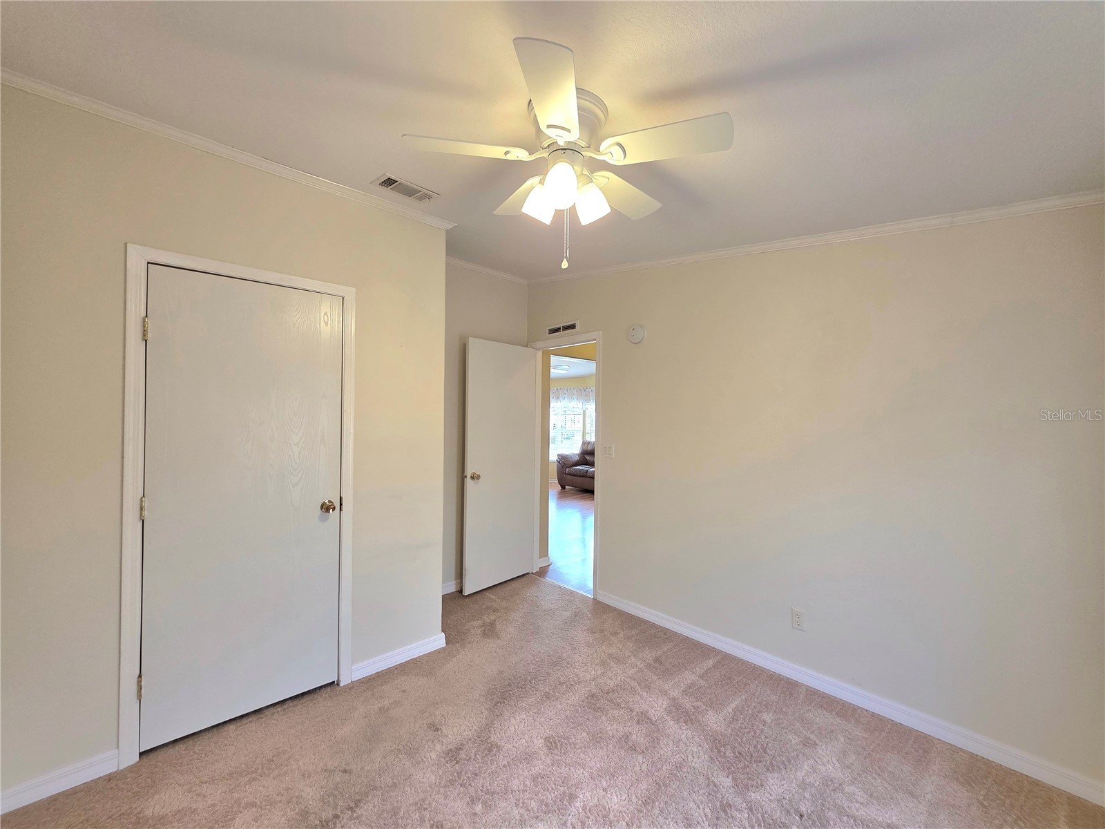 37407 Sandra Avenue Zephyrhills FL 33542 TB8465030 image22