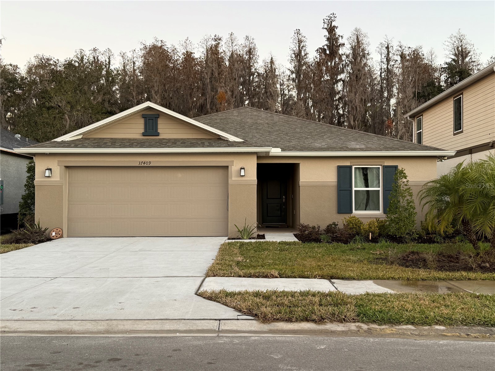 37409 Alleghany Lane Zephyrhills FL 33540 J997291 image1