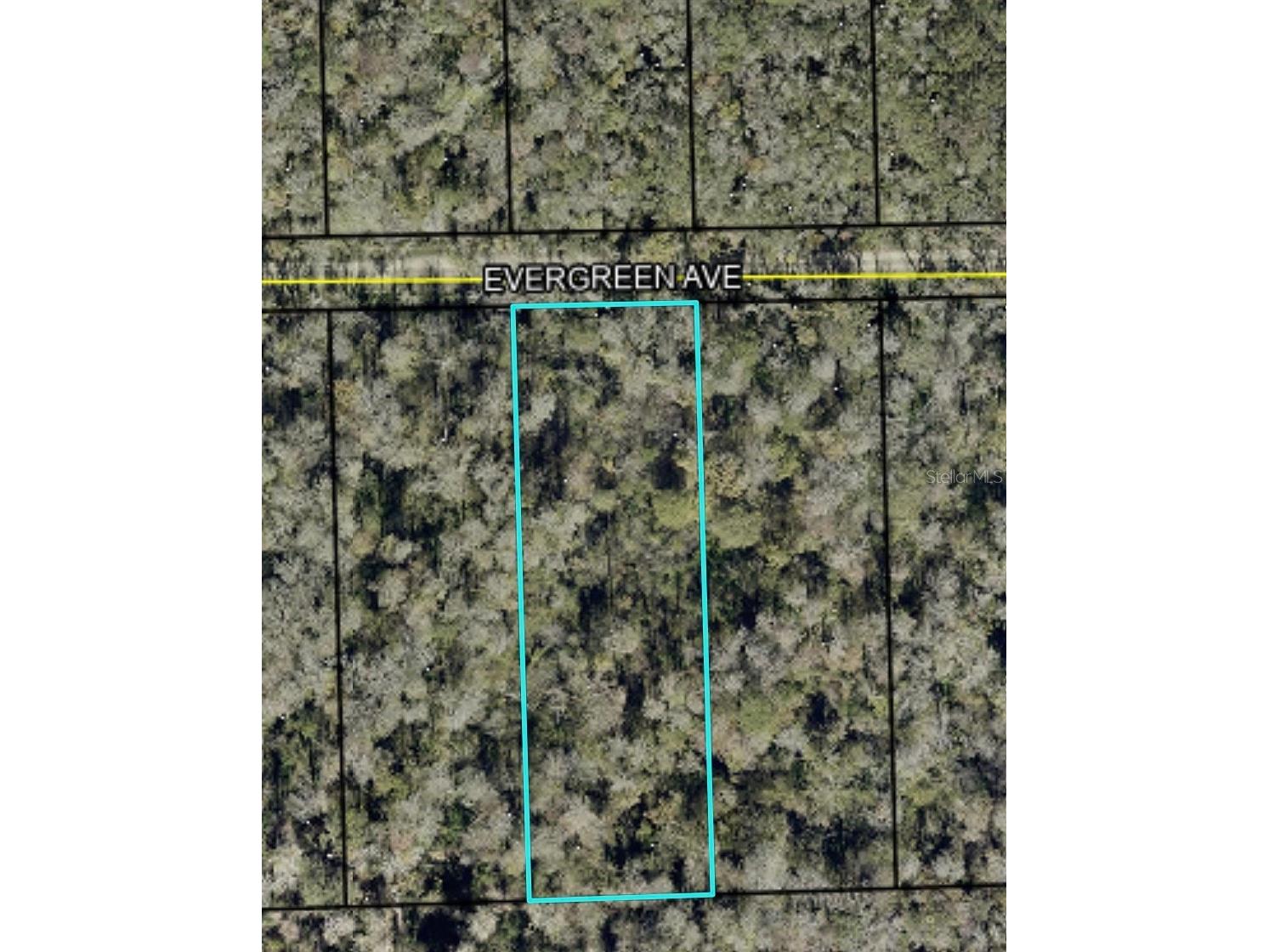 3741 Evergreen Avenue Bunnell FL 32110 FC318639 image1