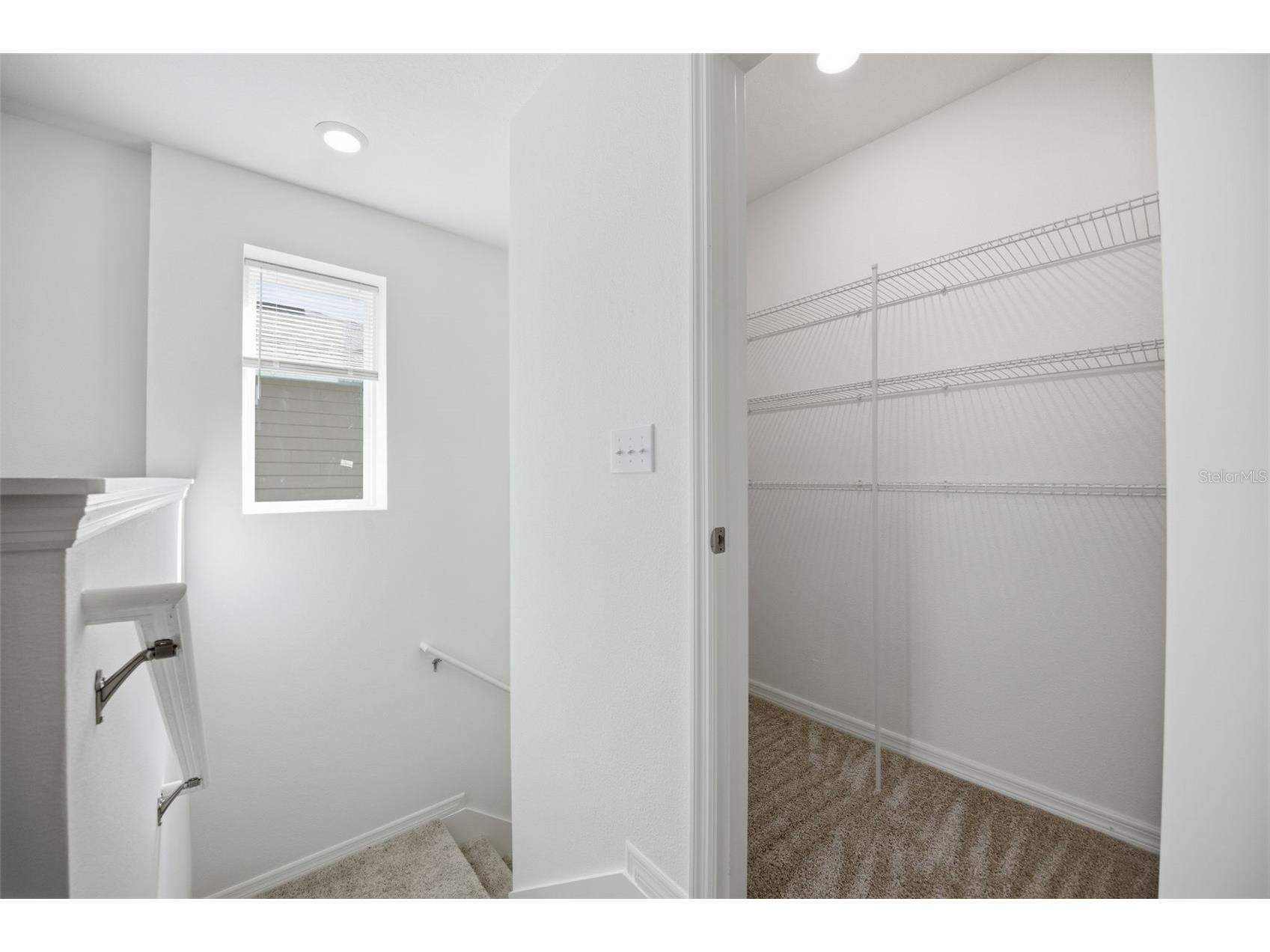 37411 Roanoke River Way Zephyrhills FL 33540 TB8478002 image22