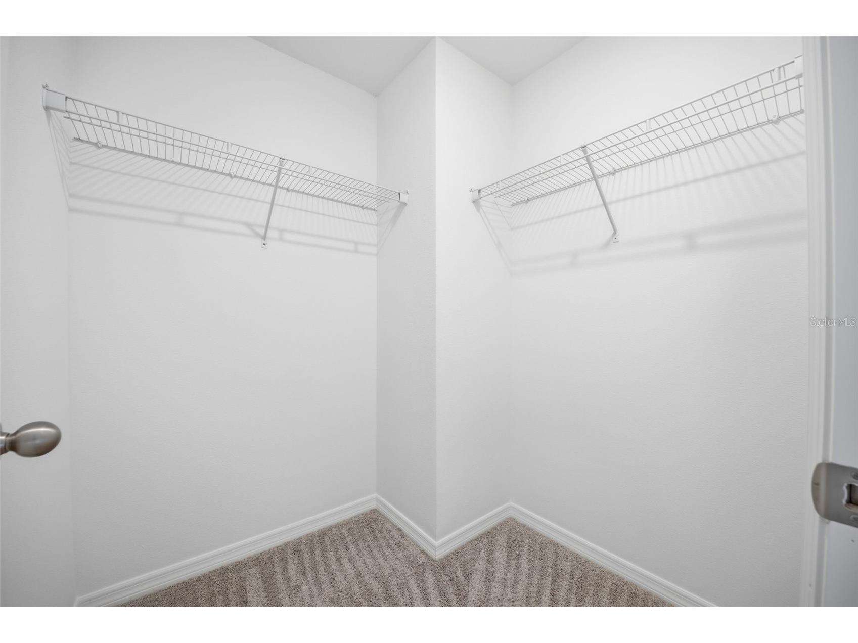 37411 Roanoke River Way Zephyrhills FL 33540 TB8478002 image32