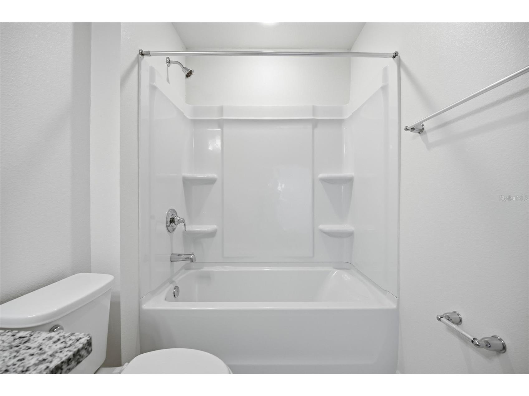 37411 Roanoke River Way Zephyrhills FL 33540 TB8478002 image34