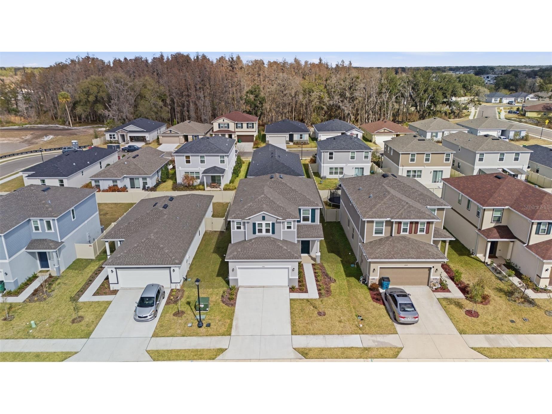 37411 Roanoke River Way Zephyrhills FL 33540 TB8478002 image46