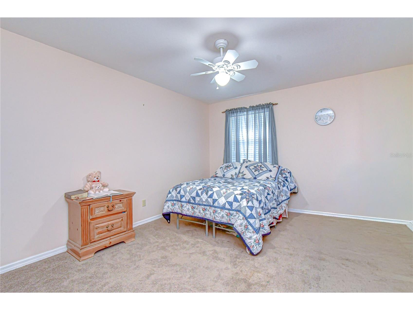 37416 Teaberry Loop Zephyrhills FL 33542 TB8481846 image13