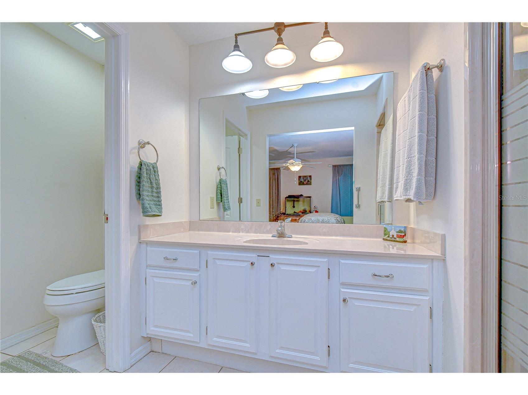 37416 Teaberry Loop Zephyrhills FL 33542 TB8481846 image17