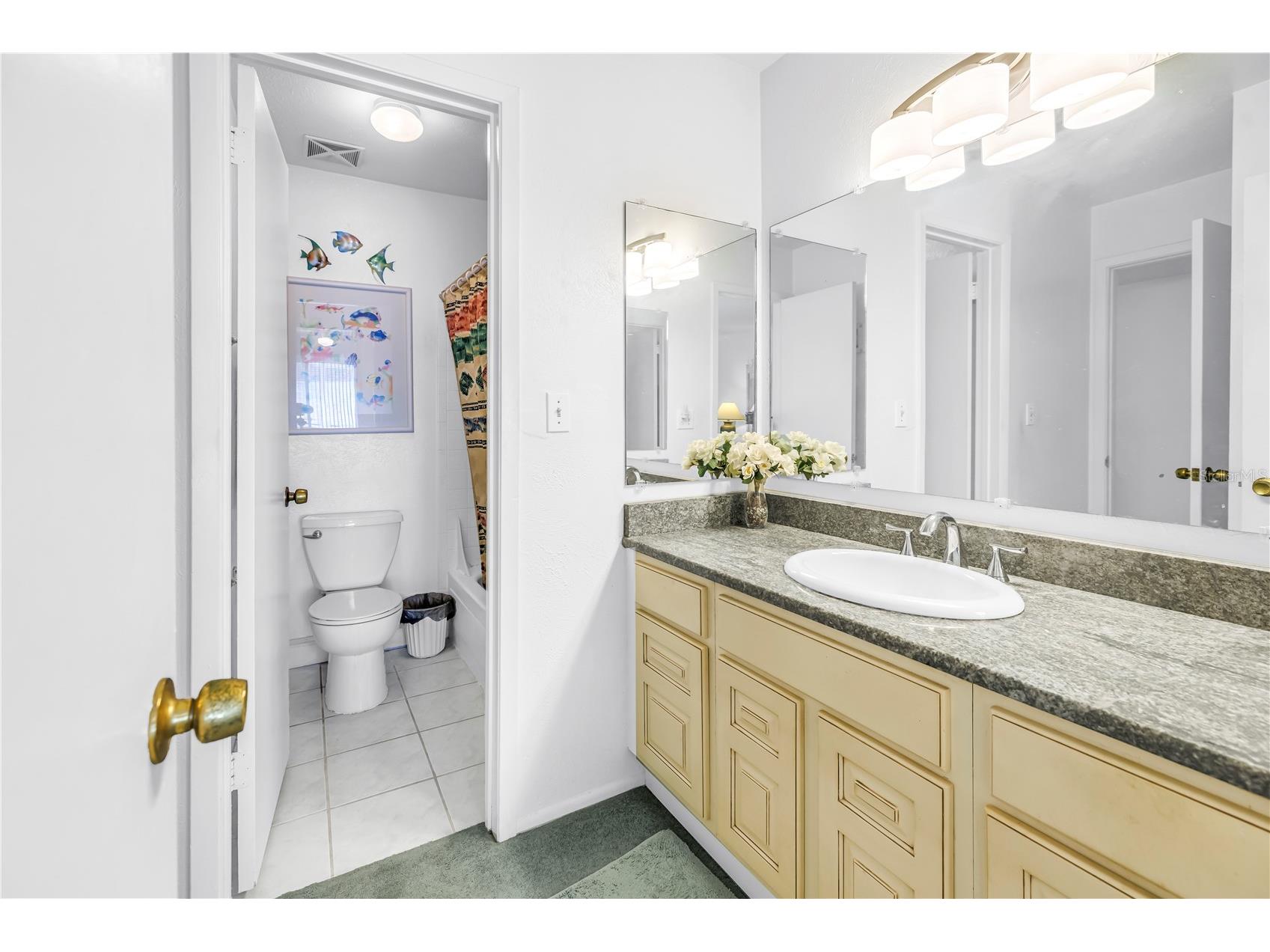 3742 41st Way S #F Saint Petersburg FL 33711 TB8491857 image10
