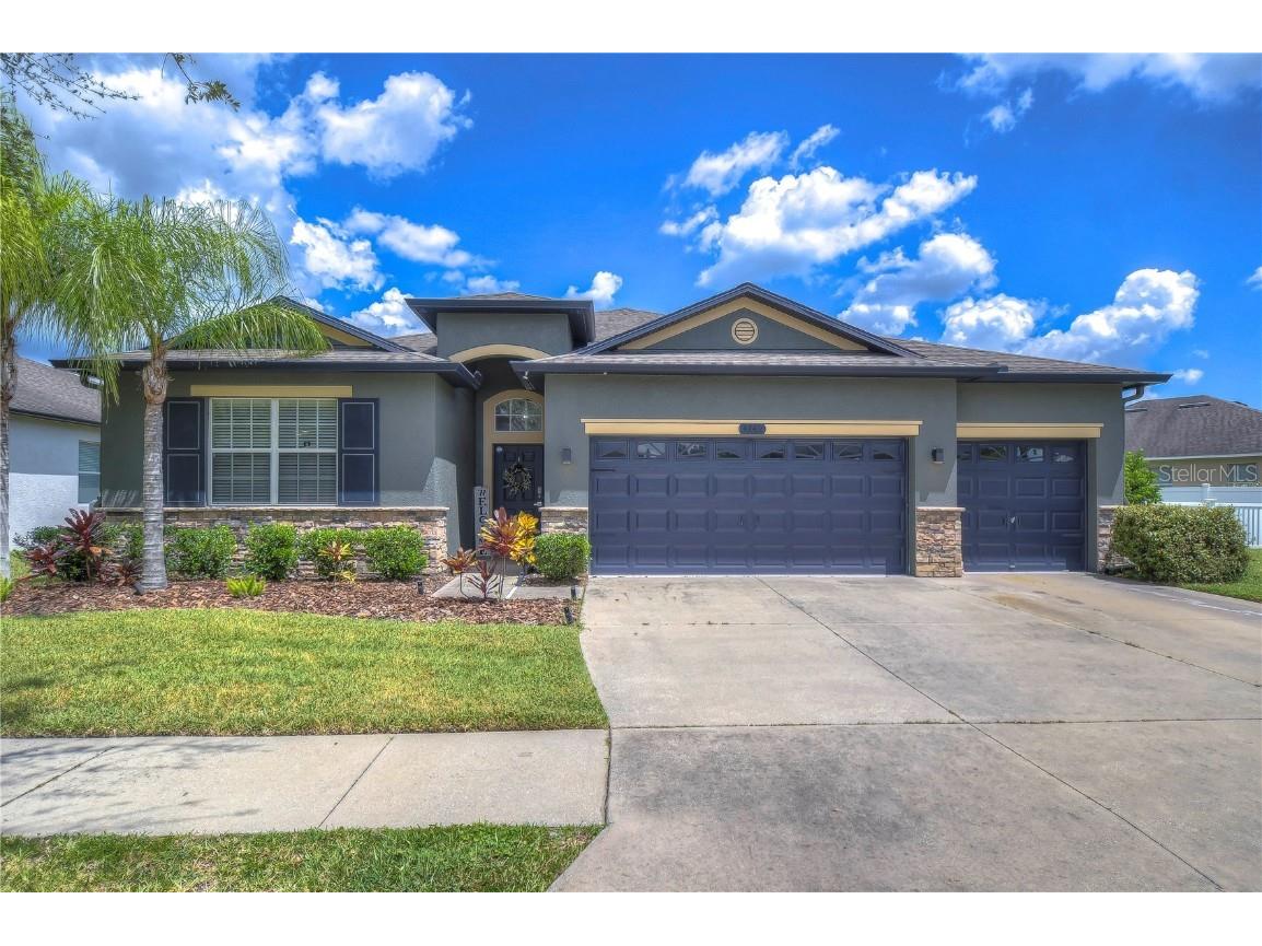 3742 Tristram Loop Land O Lakes FL 34638 T3470225 image1
