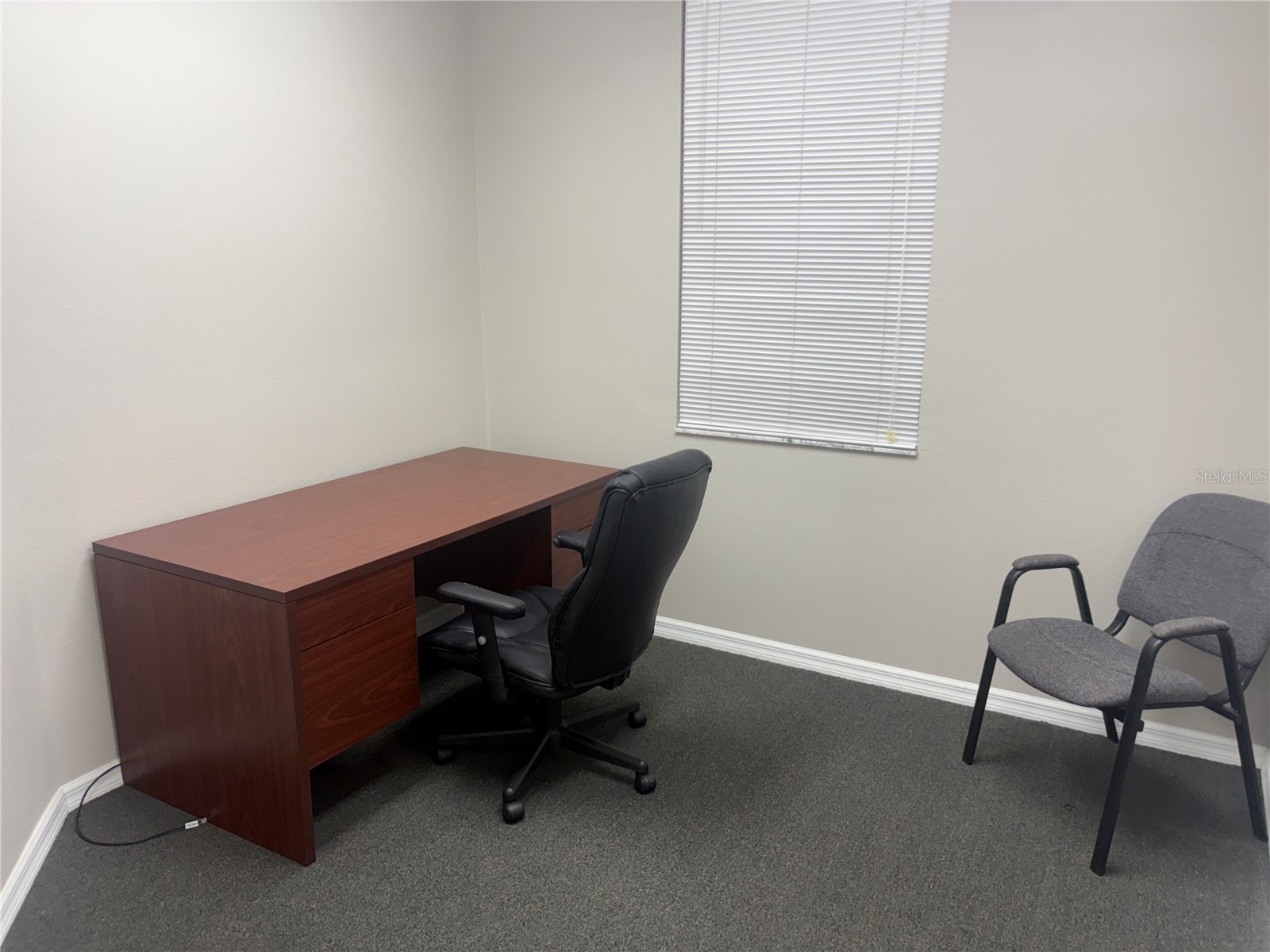 3742 Turman Loop #101 Wesley Chapel FL 33544 TB8479711 image8
