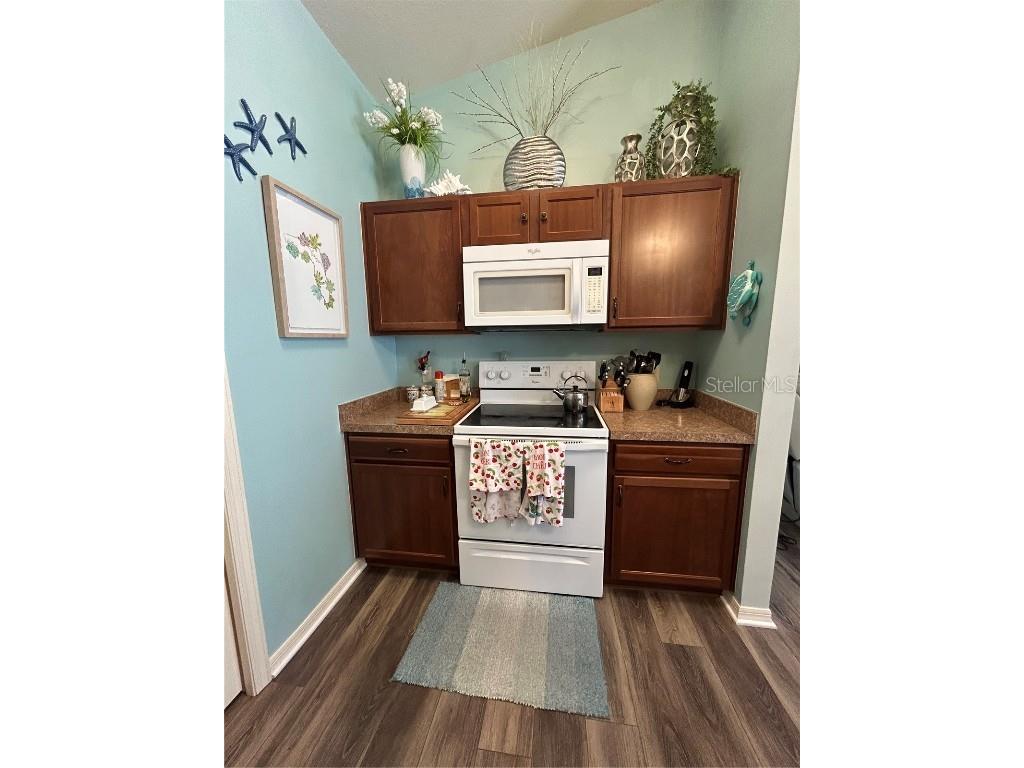 3742 Viscaya Court The Villages FL 32163 G5098999 image19