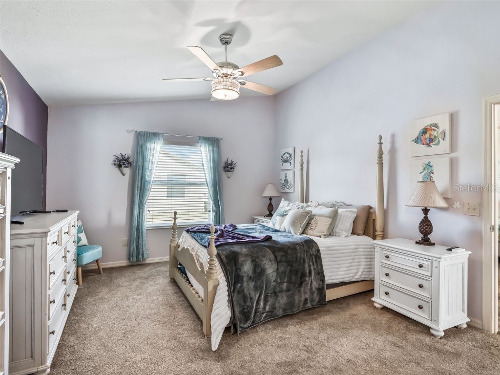 3742 Viscaya Court The Villages FL 32163 G5106108 image23