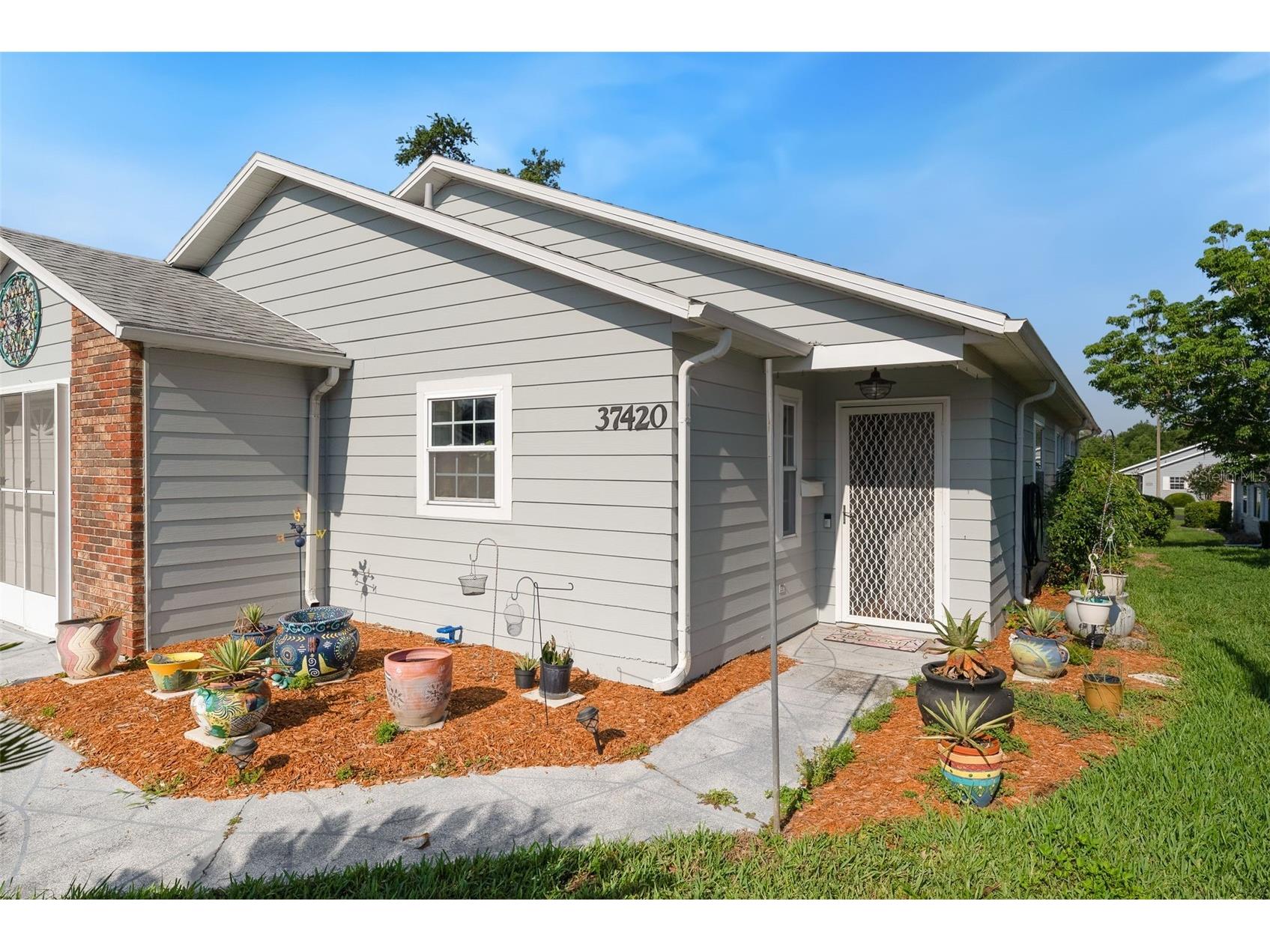 37420 Teaberry Loop Zephyrhills FL 33542 TB8518703 image22