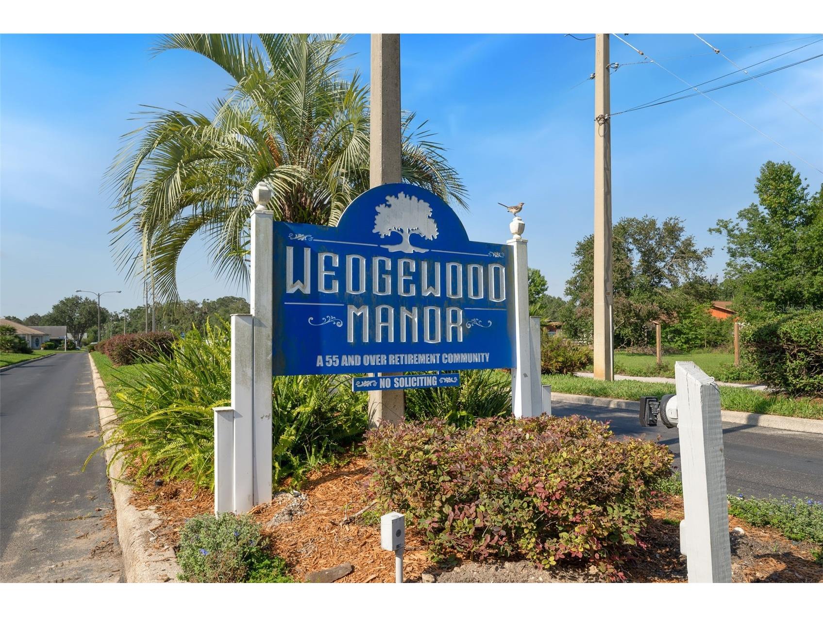 37420 Teaberry Loop Zephyrhills FL 33542 TB8518703 image23