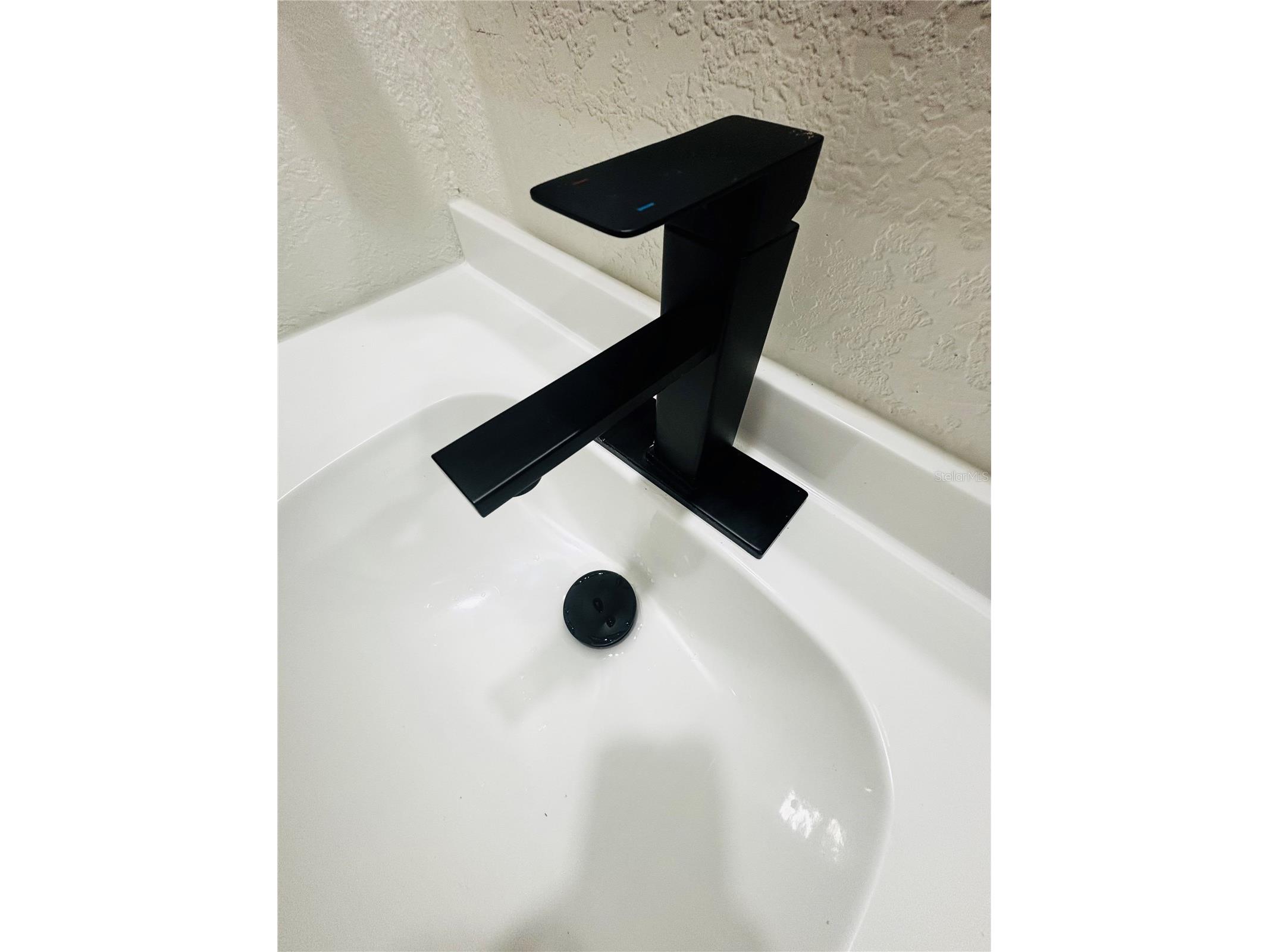 37421 Lupine Drive Zephyrhills FL 33541 TB8491258 image21