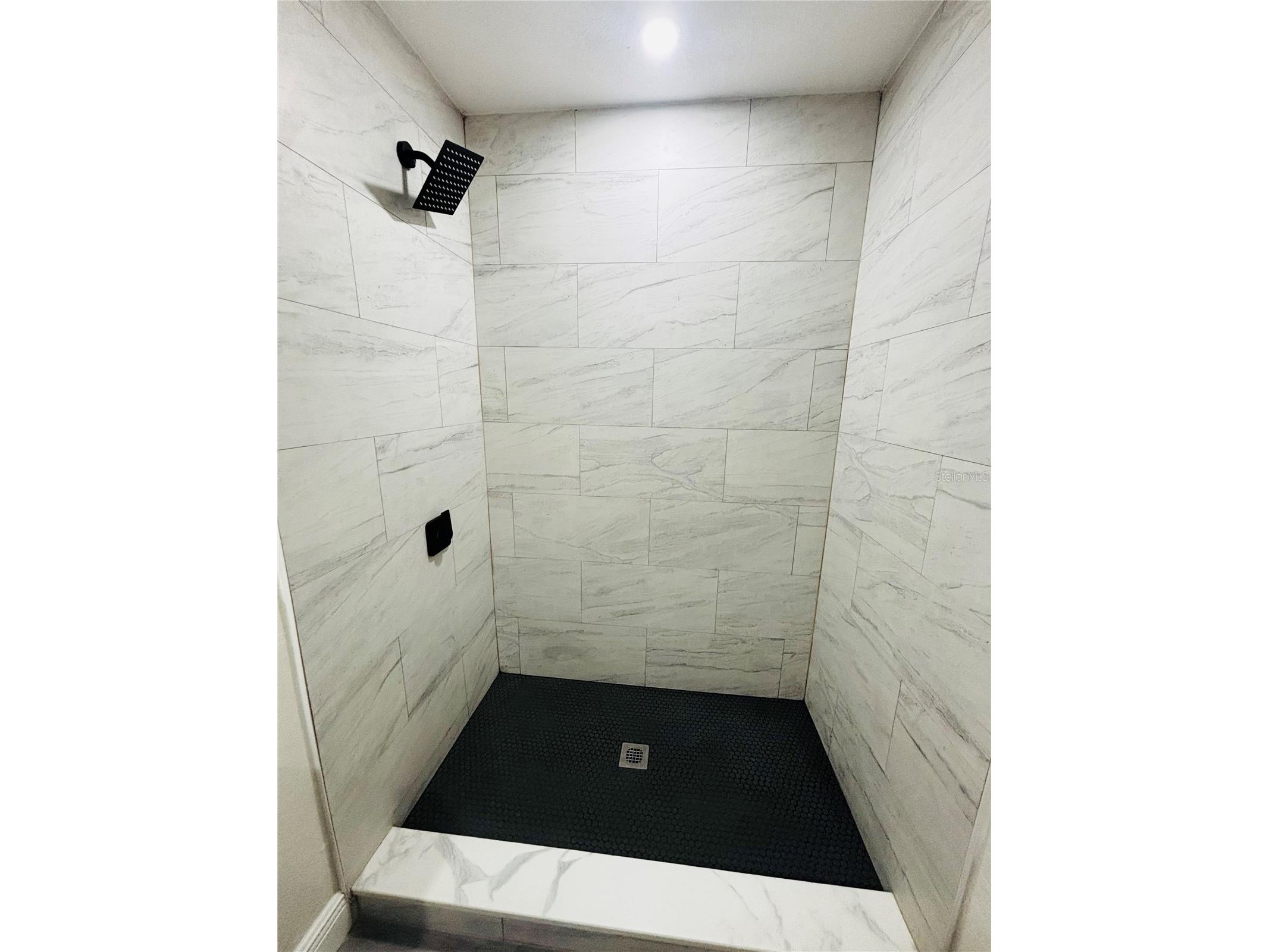 37421 Lupine Drive Zephyrhills FL 33541 TB8491258 image27