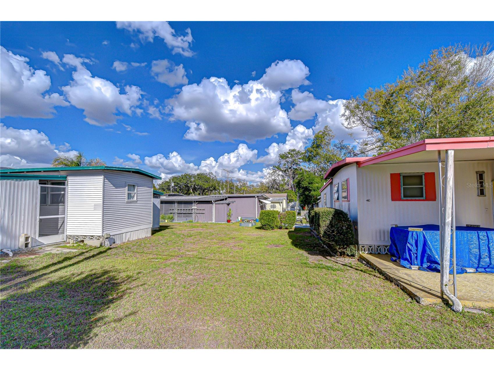 37427 Hammond Drive Zephyrhills FL 33541 TB8483897 image25
