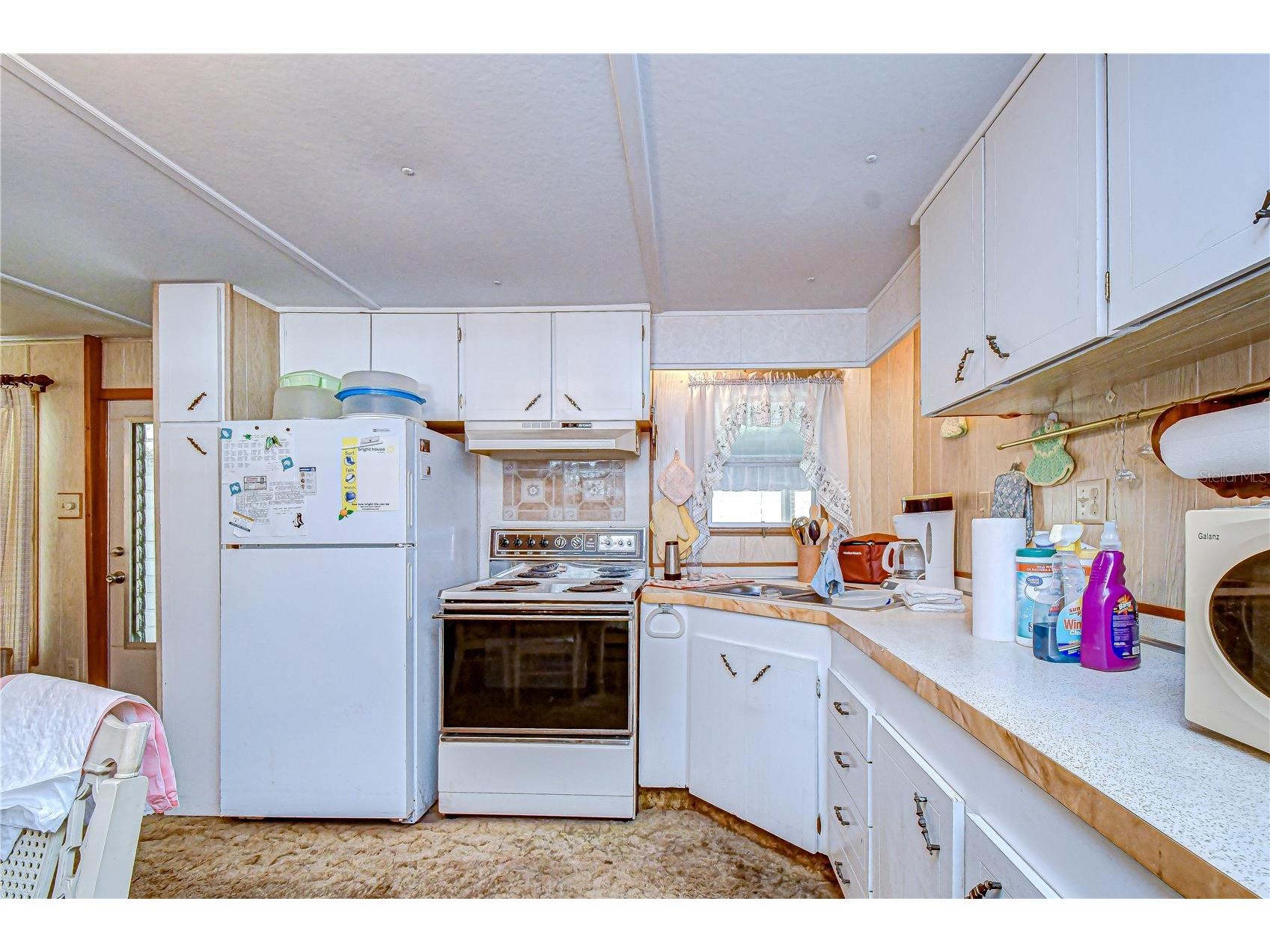 37427 Hammond Drive Zephyrhills FL 33541 TB8483897 image7