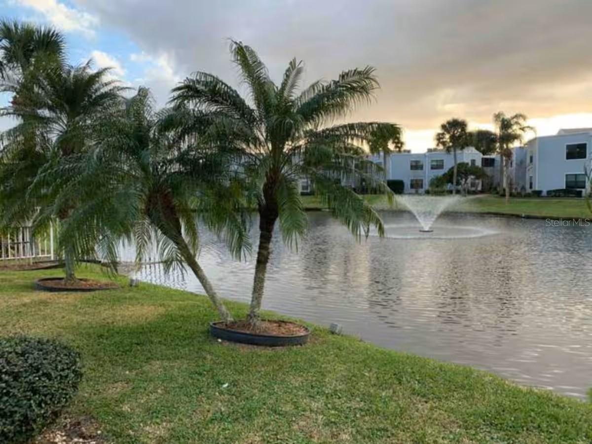 3743 Atrium Drive #44 Orlando FL 32822 TB8510352 image50