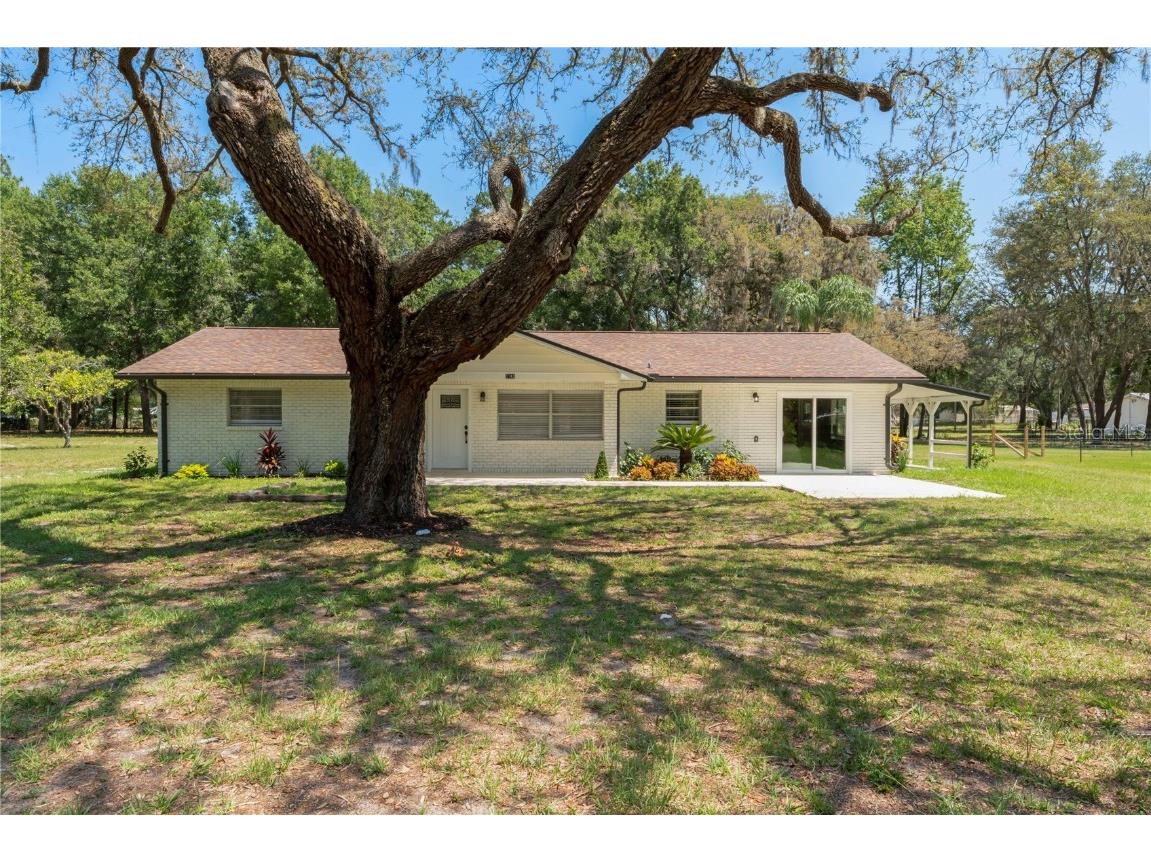 3743 Autumn Palm Drive Zephyrhills FL 33541 T3446492 image1