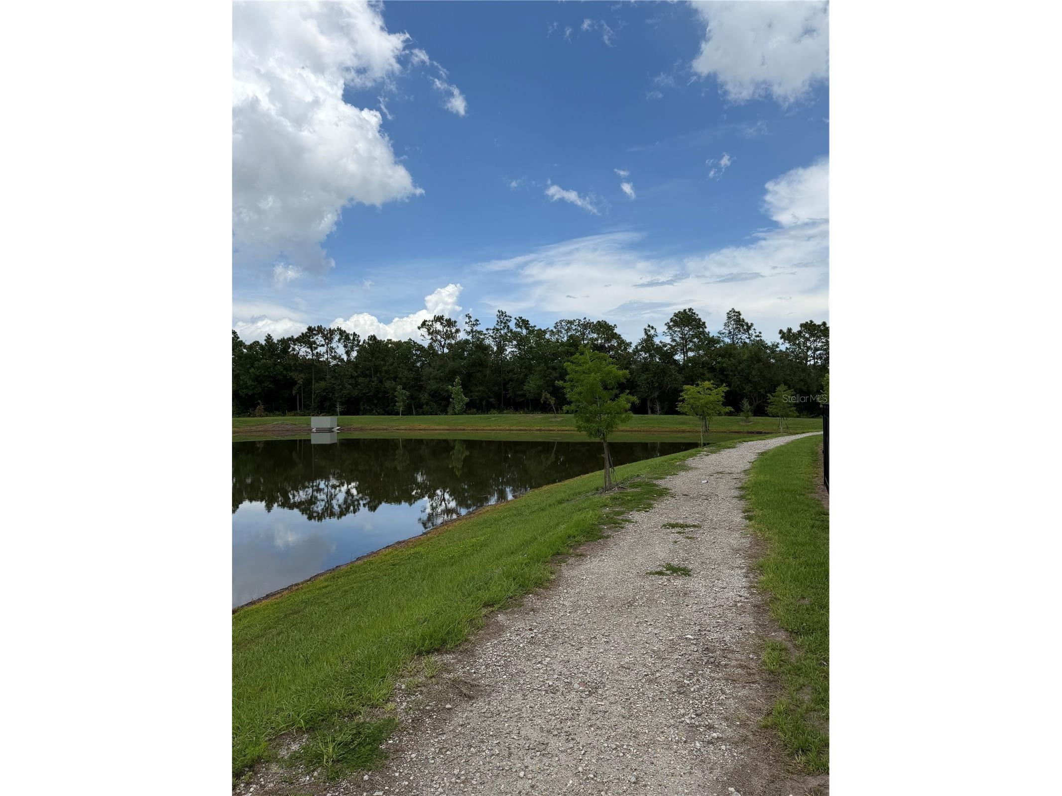 3743 Branding Iron Bend Saint Cloud FL 34772 S5152499 image40