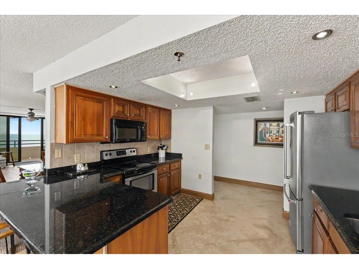 3743 S Atlantic Avenue #10B0 Daytona Beach FL 32118 V4948488 image23