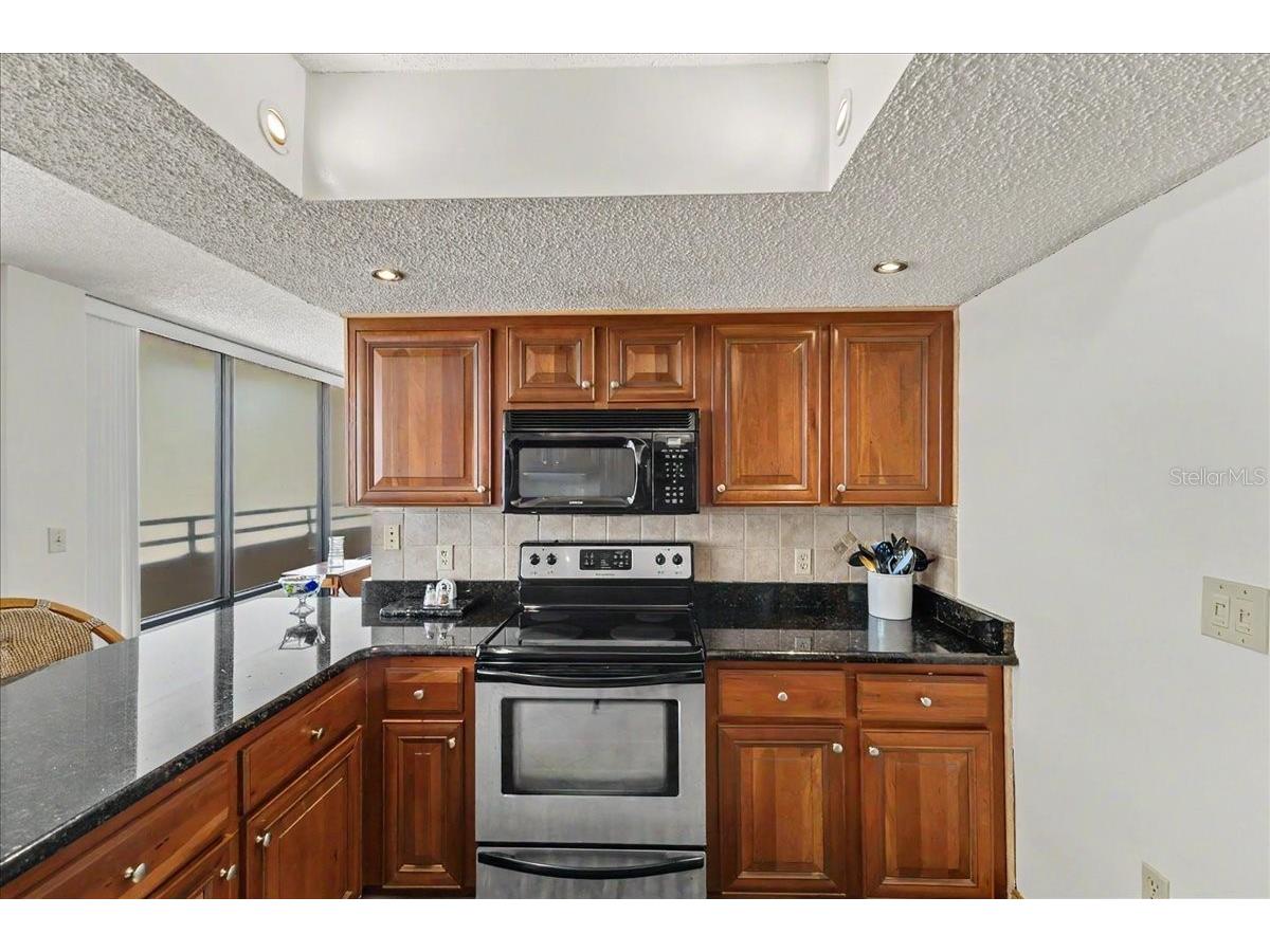 3743 S Atlantic Avenue #10B0 Daytona Beach FL 32118 V4948488 image25