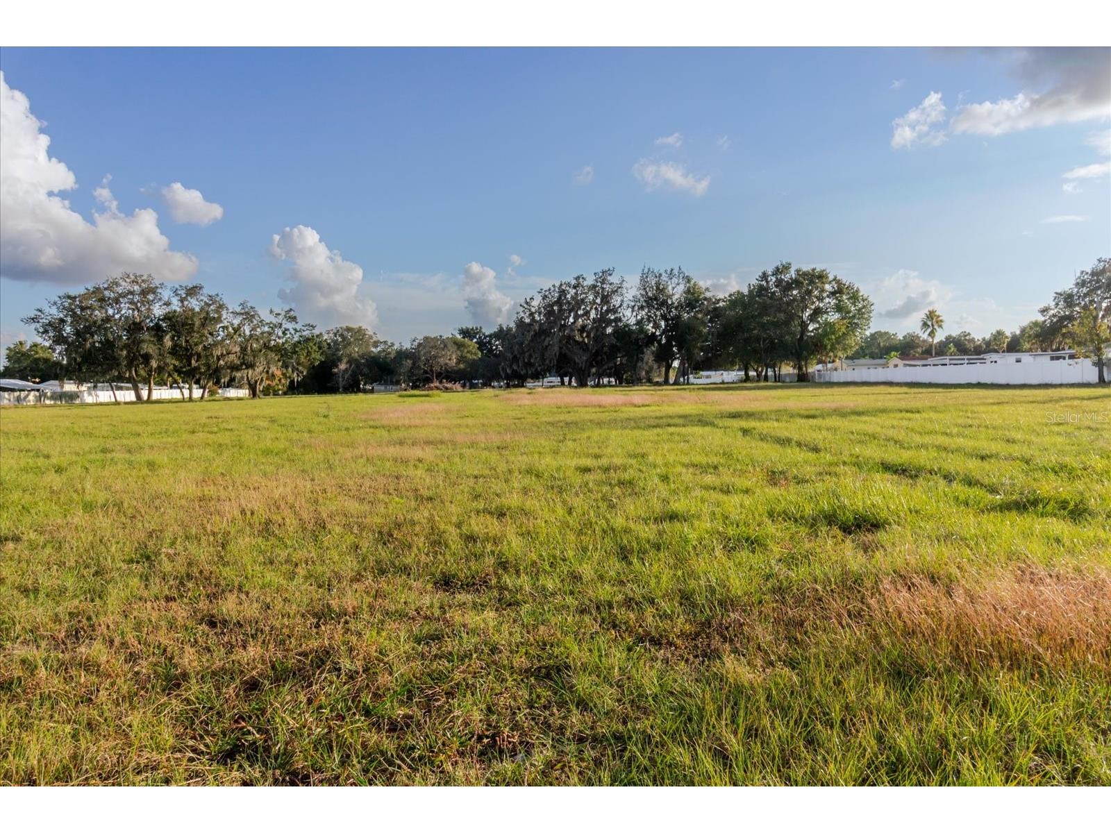 37435 Chancey Road Zephyrhills FL 33541 TB8476526 image14