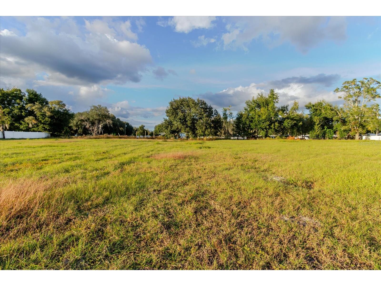 37435 Chancey Road Zephyrhills FL 33541 TB8476526 image15