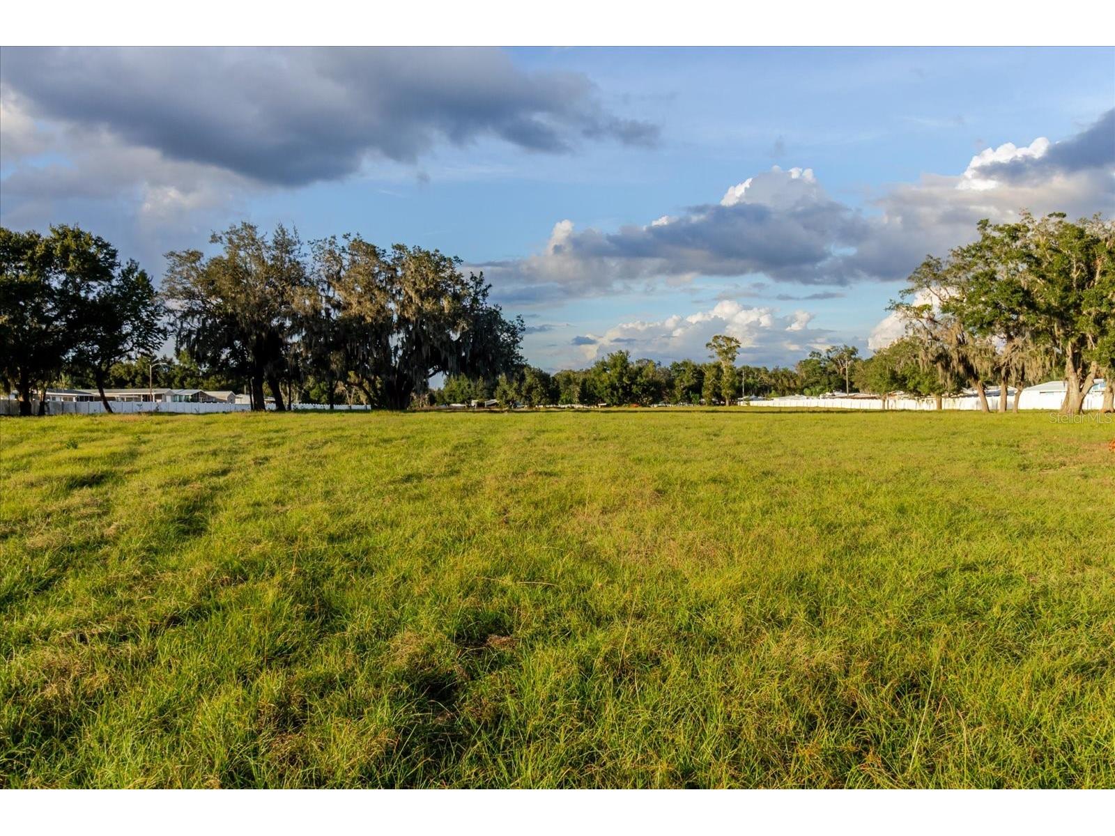 37435 Chancey Road Zephyrhills FL 33541 TB8476526 image16