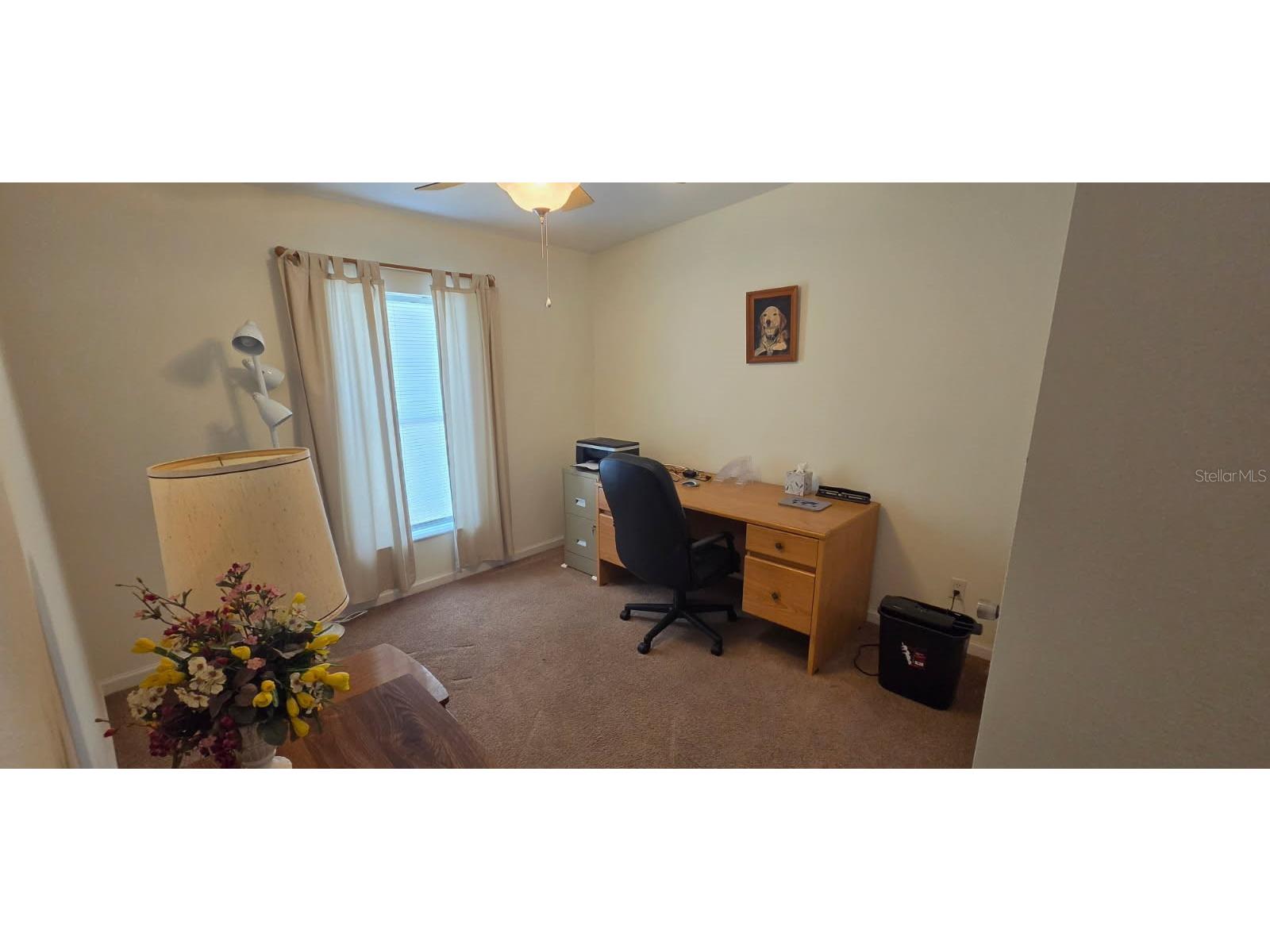 37437 Gill Avenue Zephyrhills FL 33541 TB8520048 image16