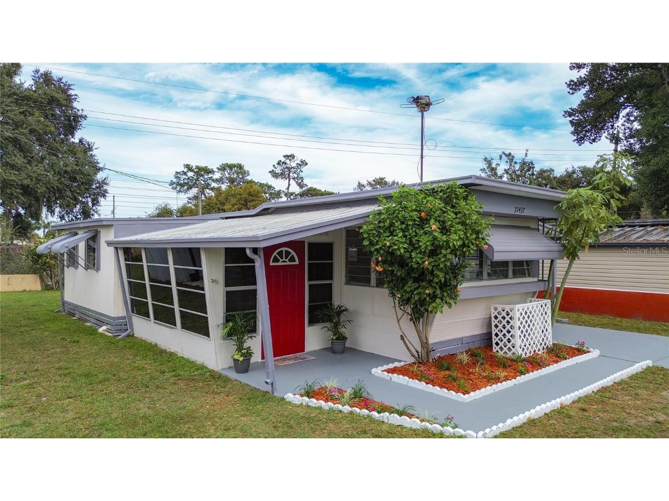37437 Ray Drive Zephyrhills FL 33541 T3493205 image1