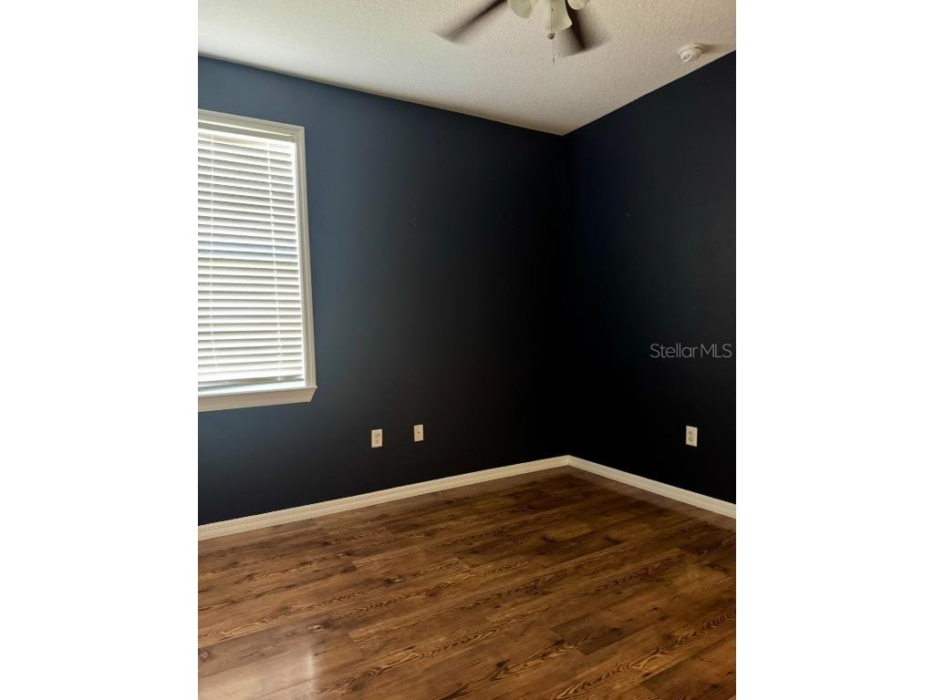 37438 Picketts Mill Avenue Zephyrhills FL 33542 TB8417912 image22