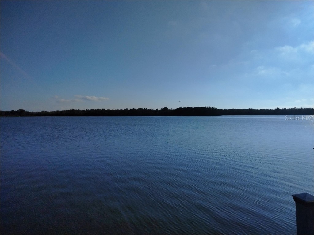 3744 Bywater Drive #3744 Holiday FL 34691 - LAKE CONLEY TB8452261 image2