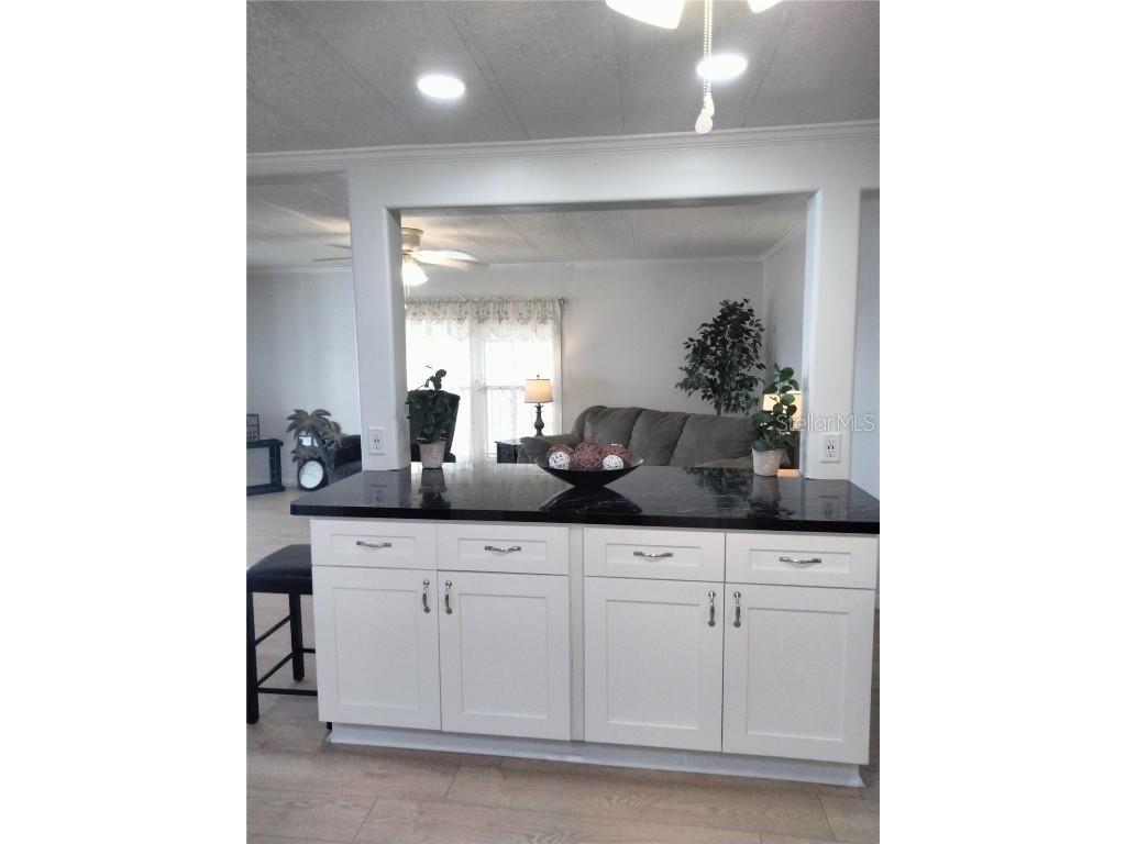 3744 Bywater Drive #3744 Holiday FL 34691 - LAKE CONLEY TB8452261 image8