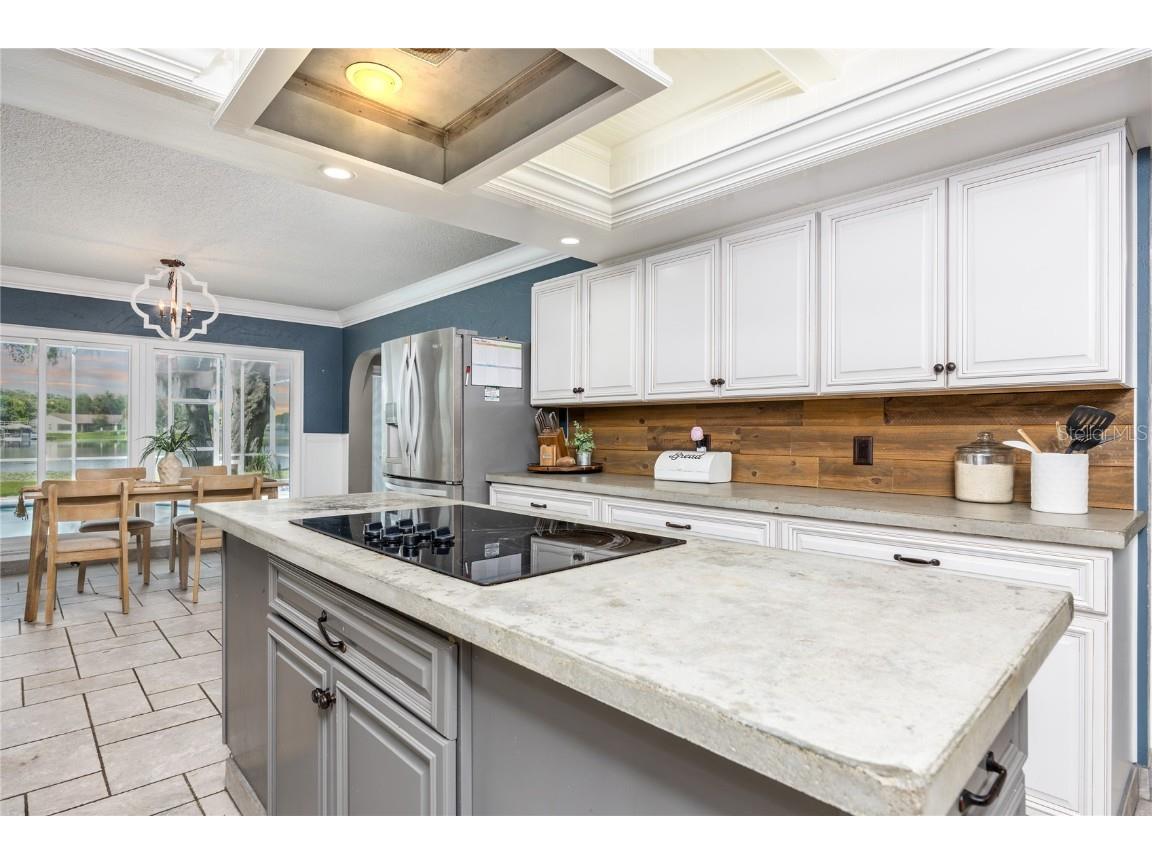 3744 E Lake Drive Land O Lakes FL 34639 - East Lake T3545969 image15